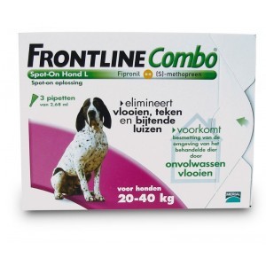 frontline chat pour chien