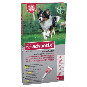 Advantix 2501250 Pour Chien