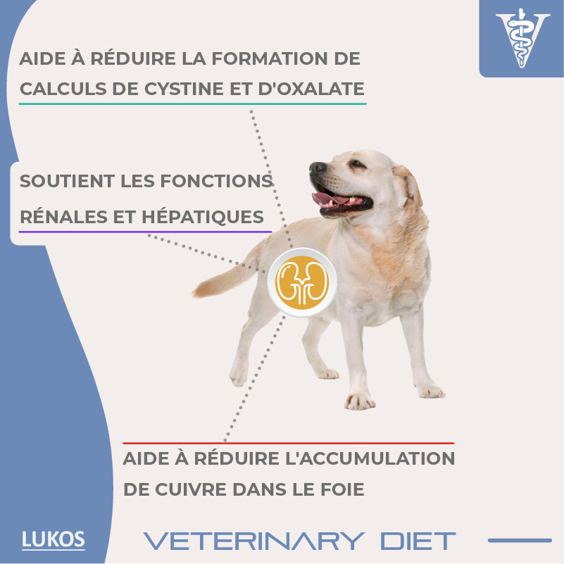 Lukos Veterinary Diet Renal hondenvoer