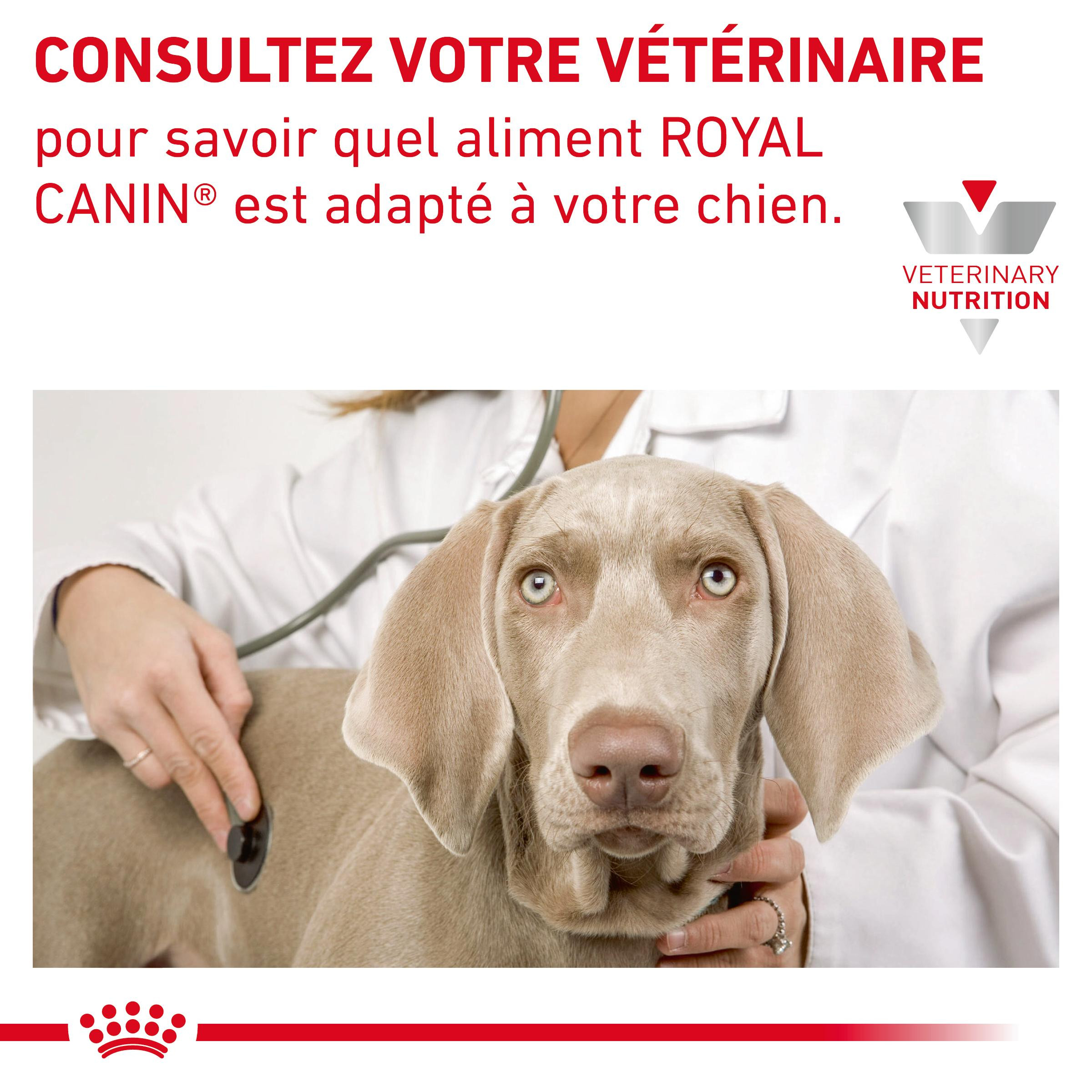 Royal Canin Veterinary Anallergenic Small Dogs hondenvoer