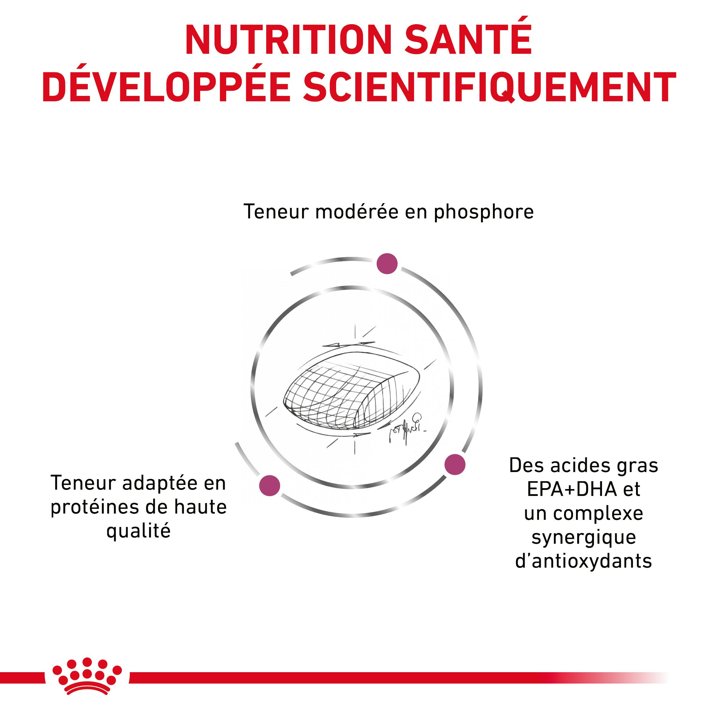 Royal Canin Veterinary Diet Early Renal hondenvoer