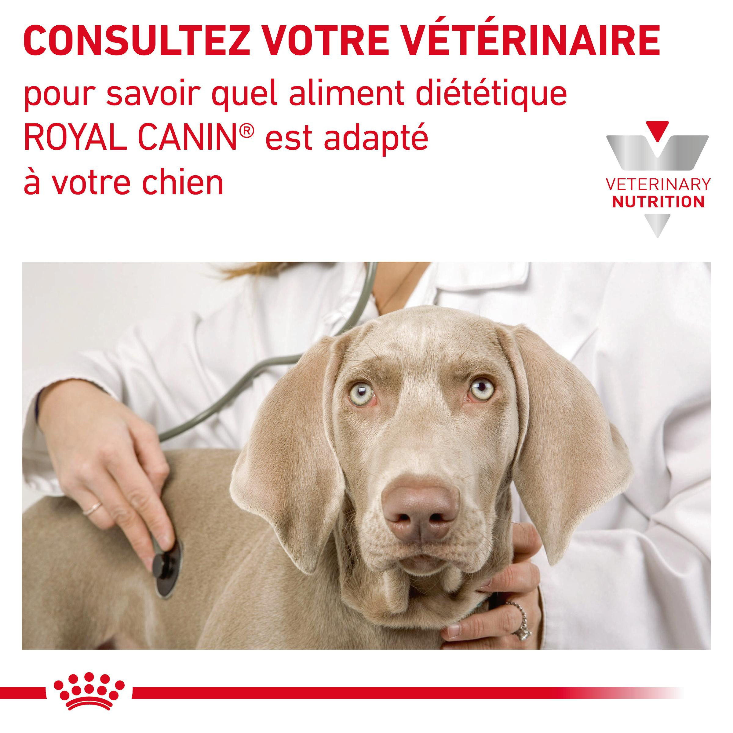 Royal Canin Veterinary Diet Early Renal hondenvoer