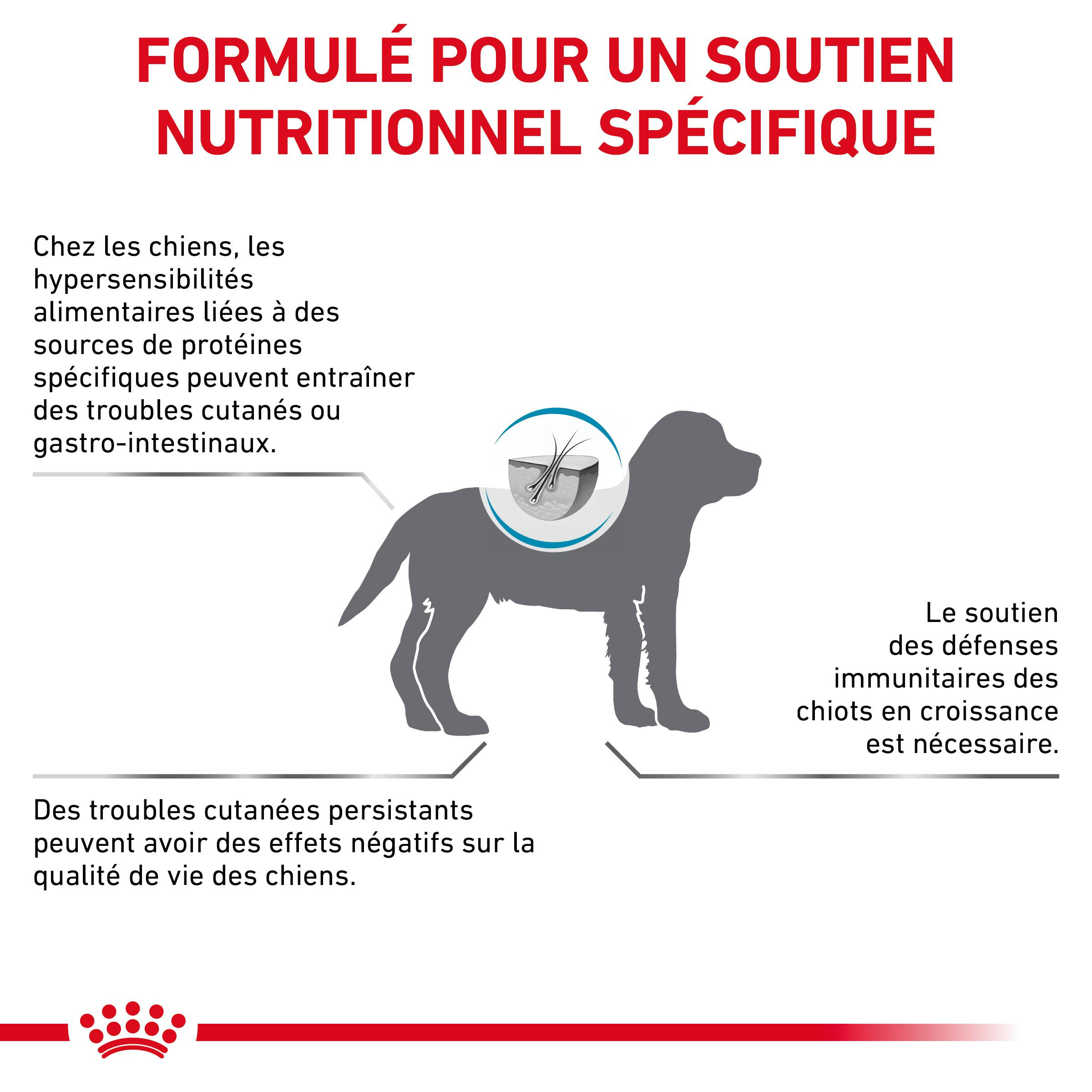 Royal Canin Hypoallergenic Puppy hondenvoer