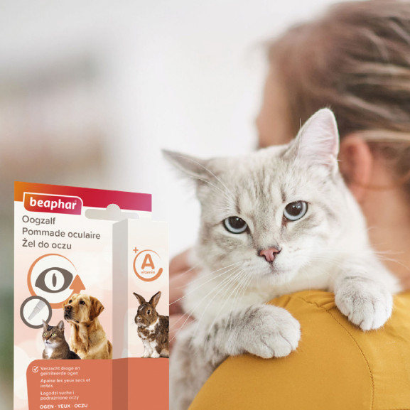 Pommade oculaire Beaphar pour chiens et chats