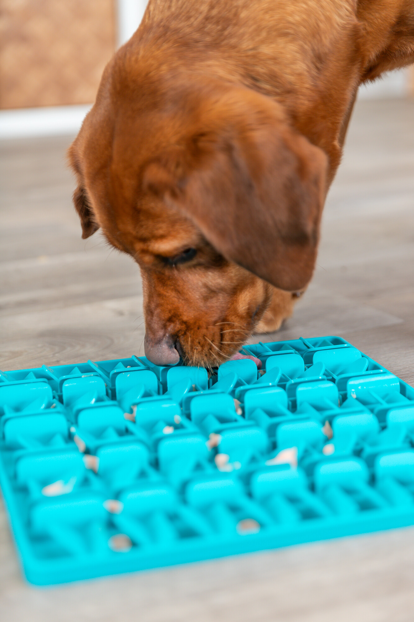 Trixie Lick'n'Snack likmat voor de hond (30 cm)