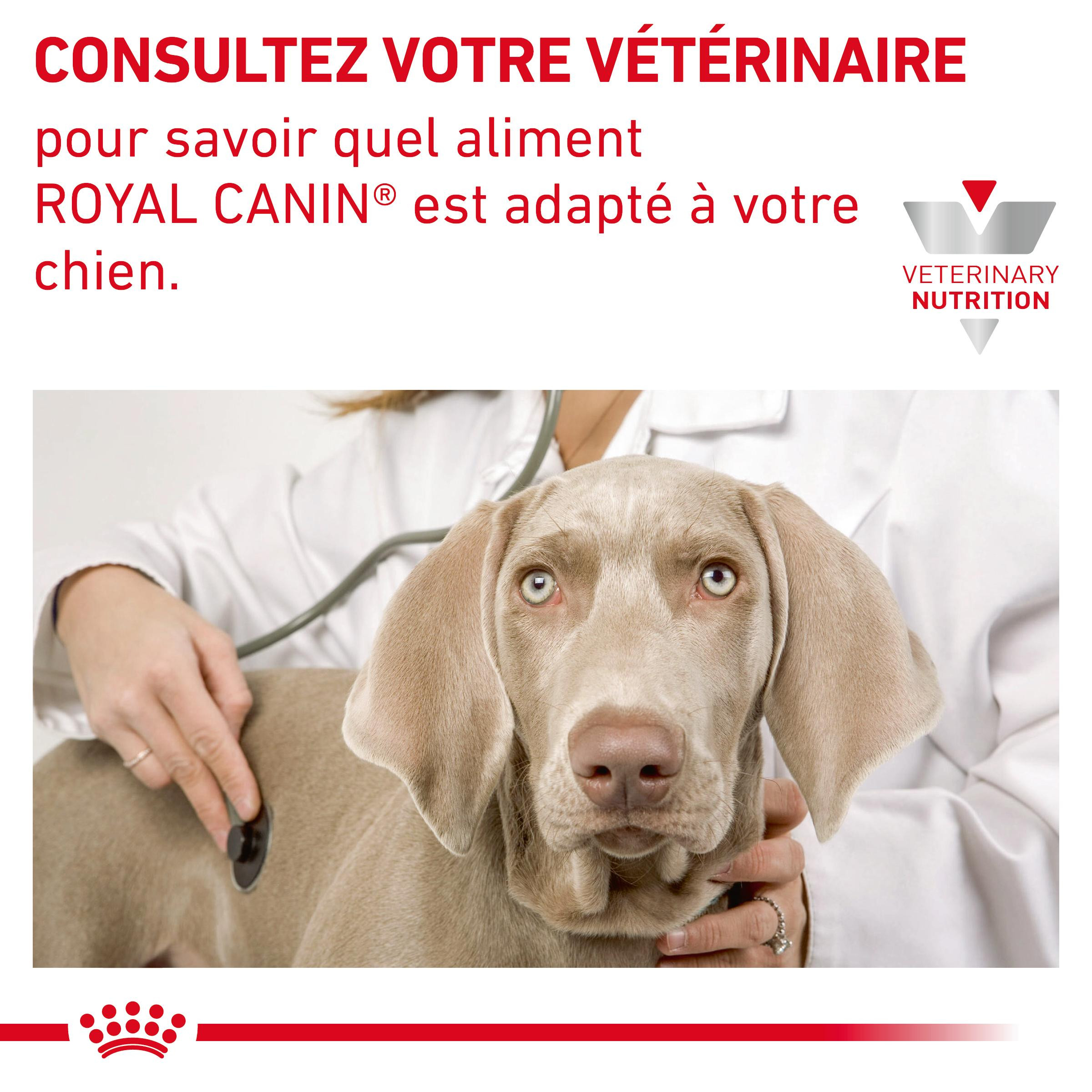 Royal Canin Veterinary Sensitivity Control canard avec riz pâtée pour chien