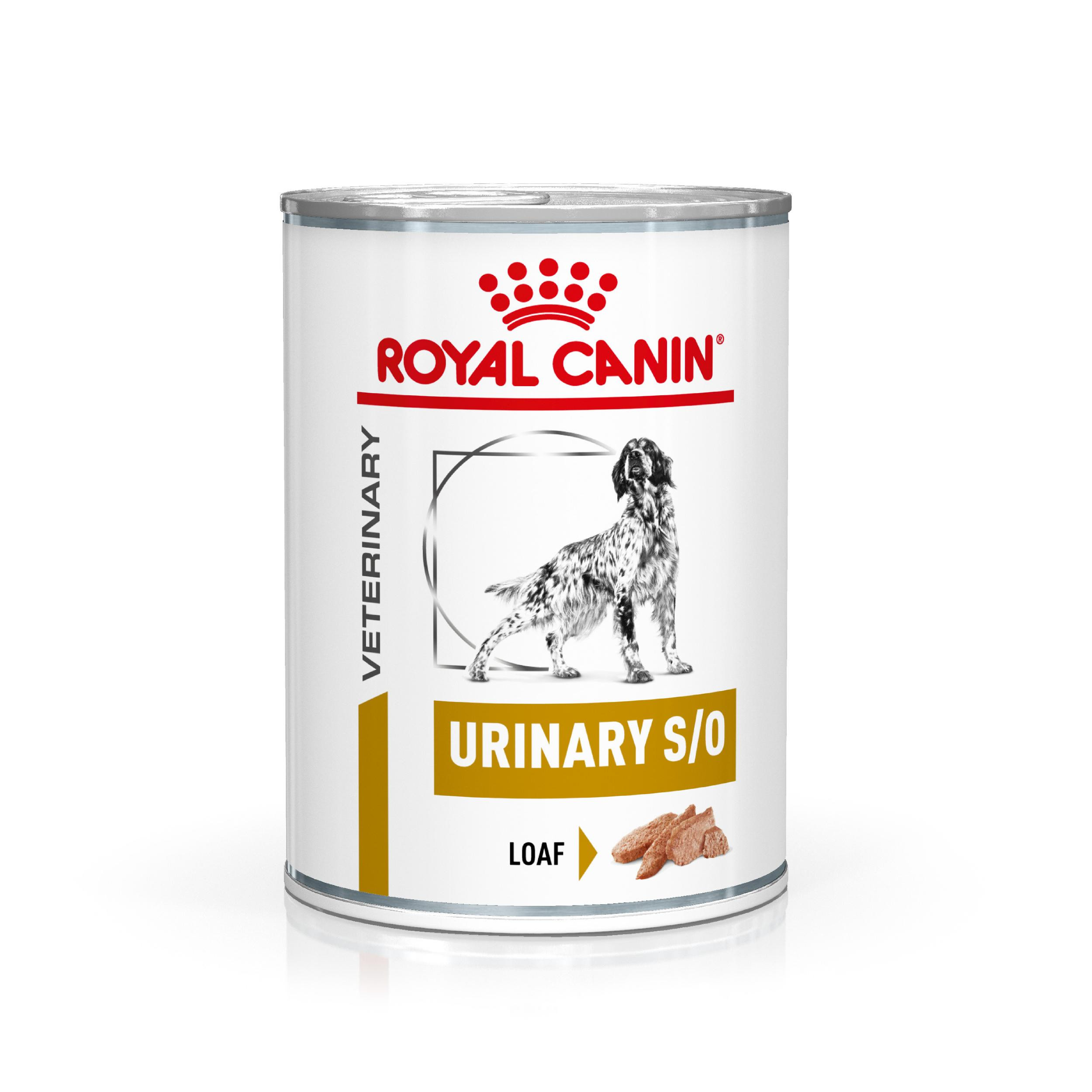 Royal Canin Veterinary Urinary S/O Loaf pâtée pour chien