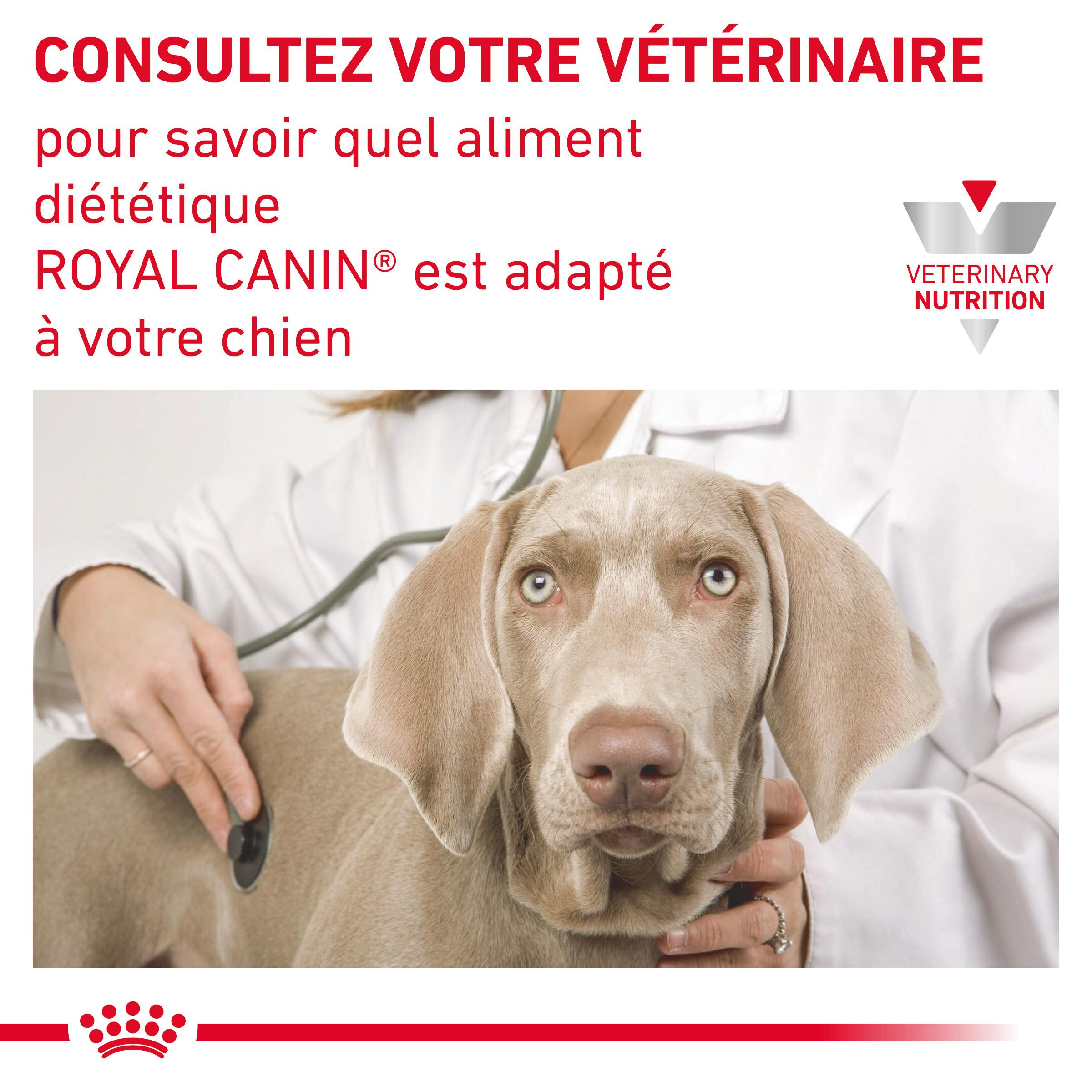 Royal Canin Veterinary Urinary S/O Loaf pâtée pour chien