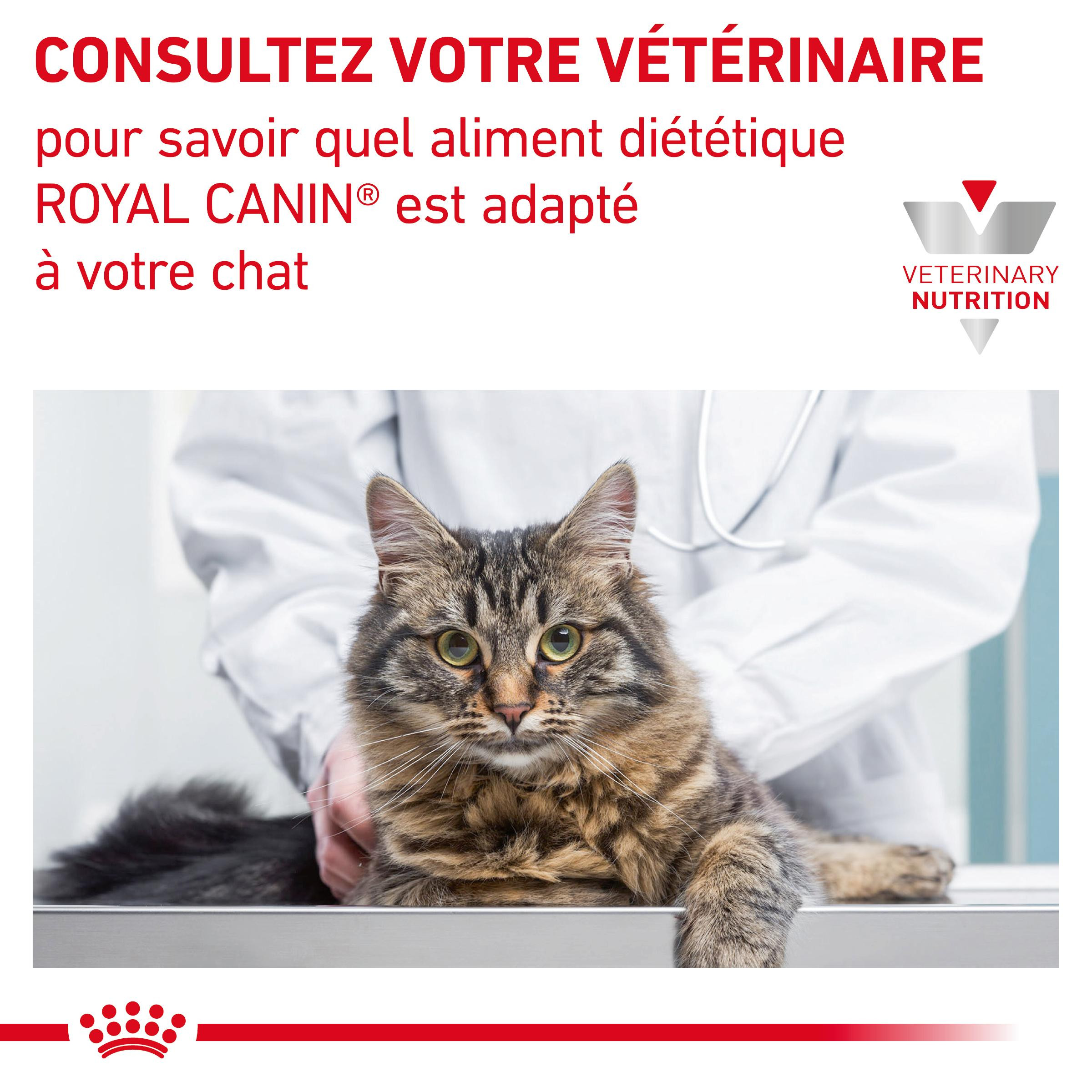 Royal Canin Veterinary Diet Diabetic zakjes 85 gram kattenvoer