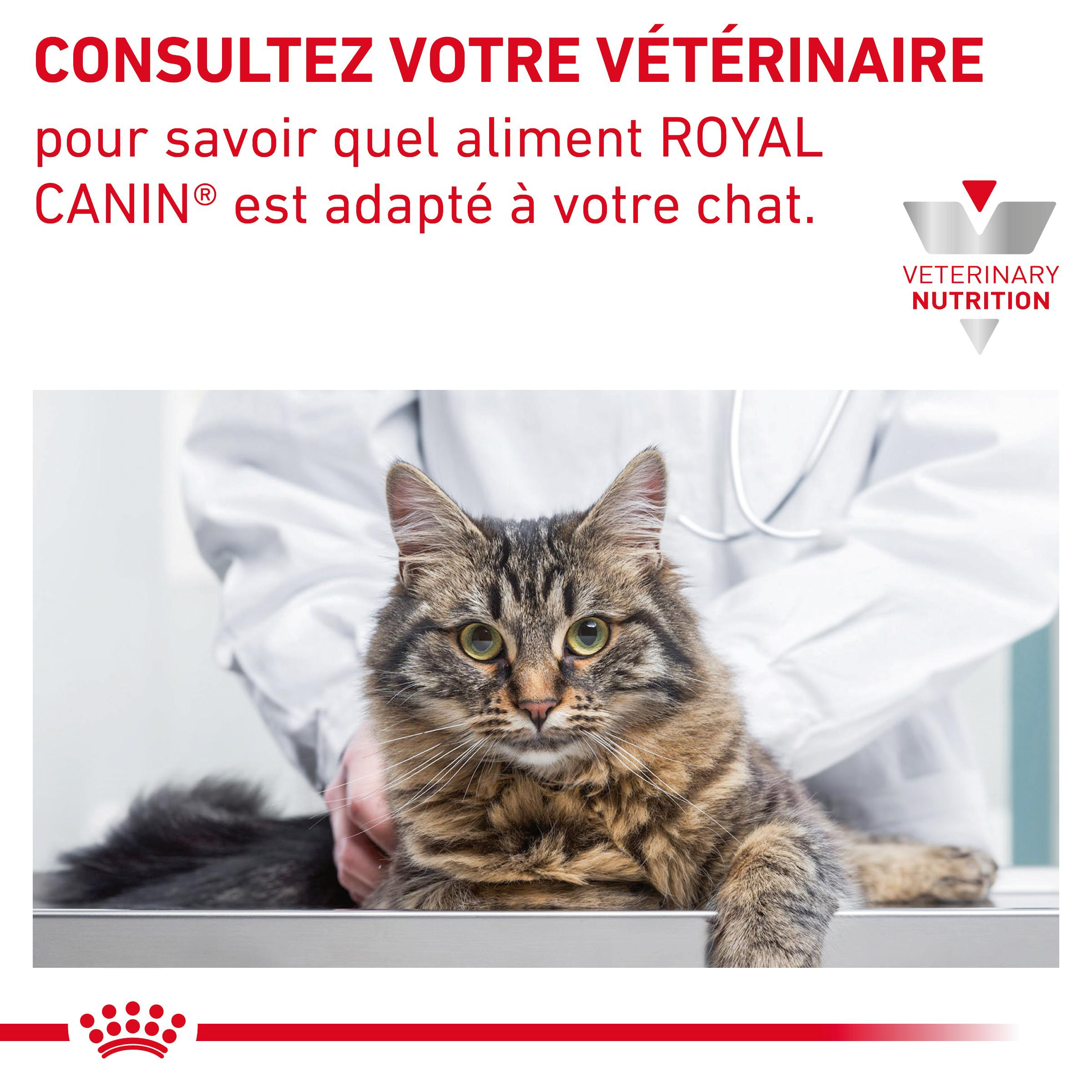 Royal Canin Veterinary Gastrointestinal Fibre Response nat kattenvoer