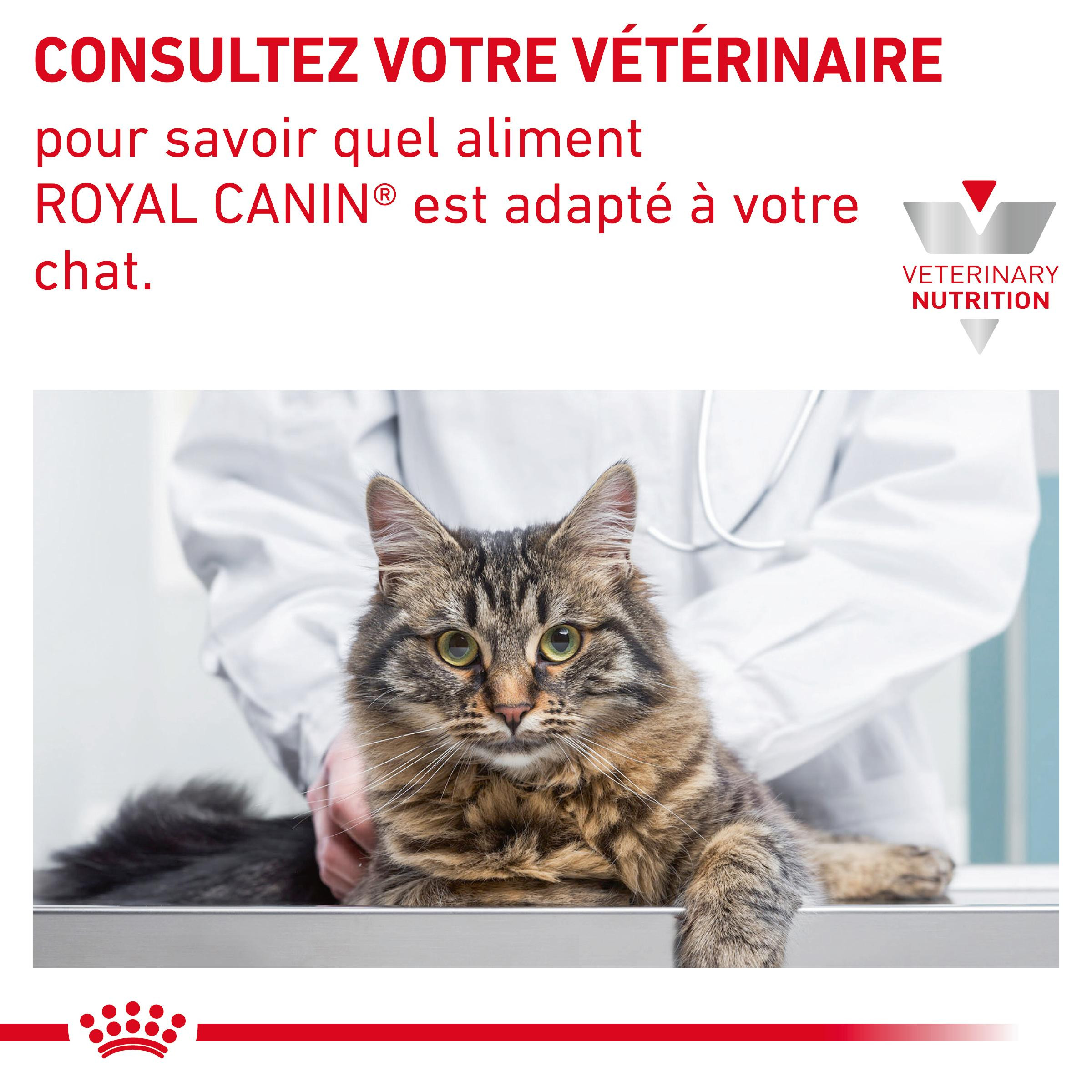 Royal Canin Sensitivity Control zakjes kattenvoer