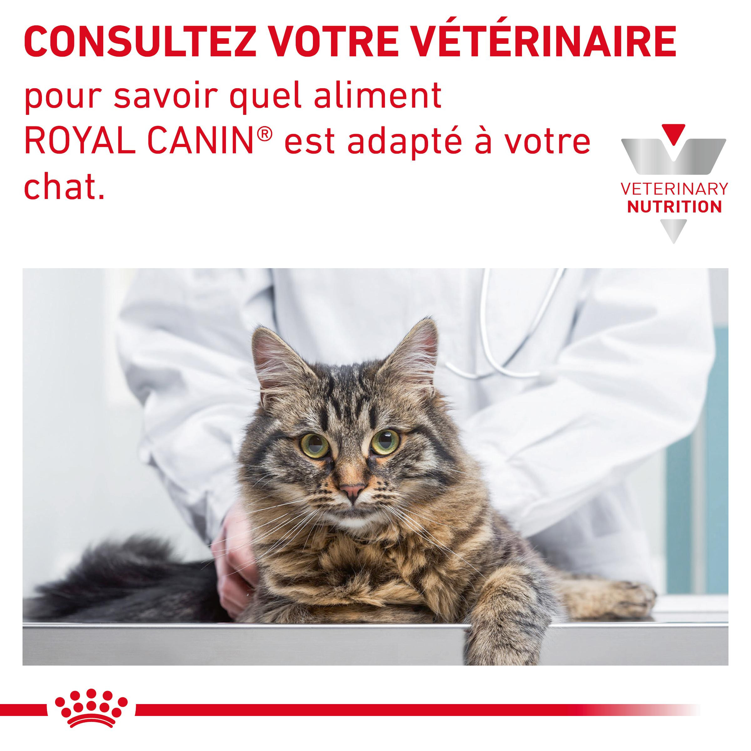 Royal Canin Skin & Coat zakjes kattenvoer