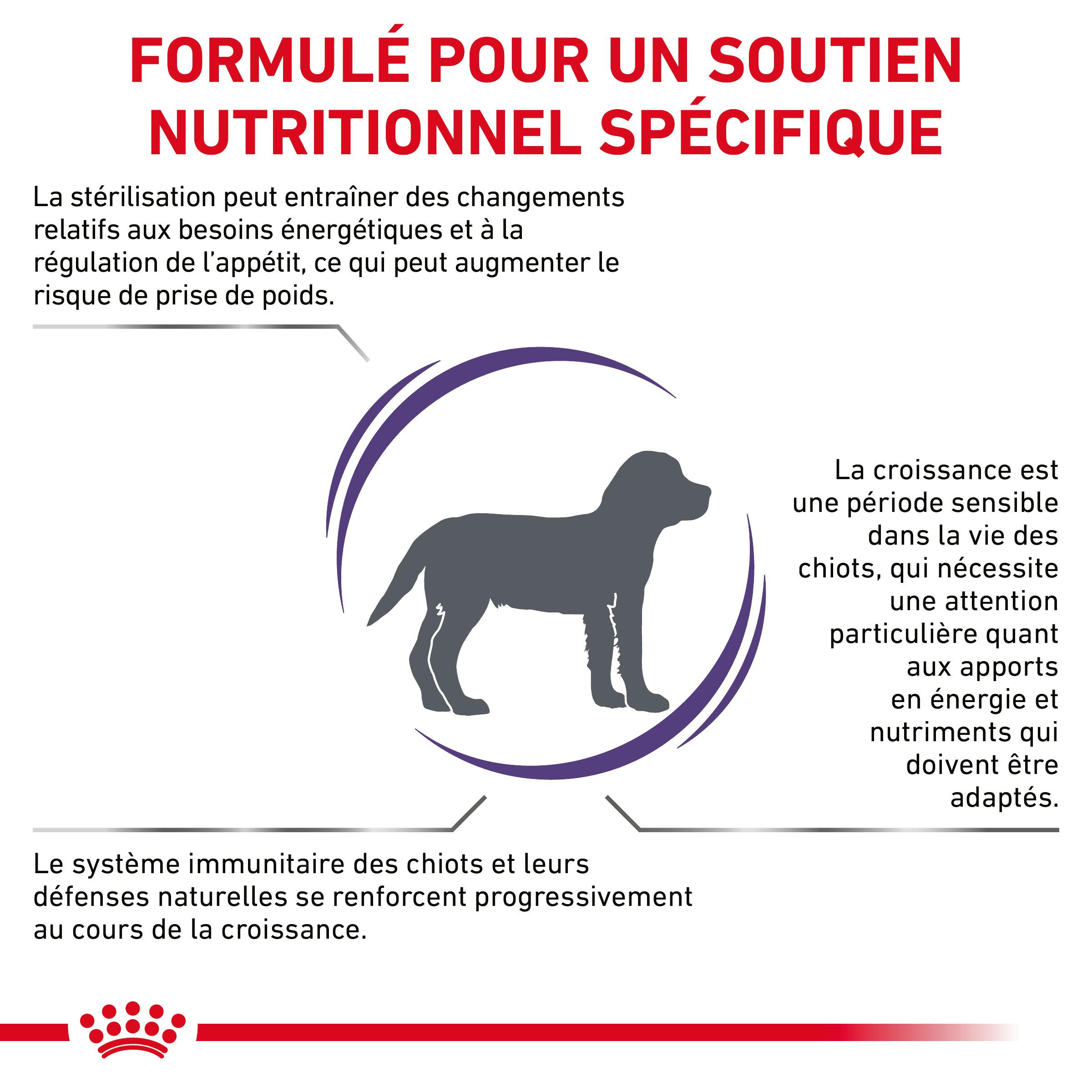 Royal Canin Expert Neutered Junior pour chien