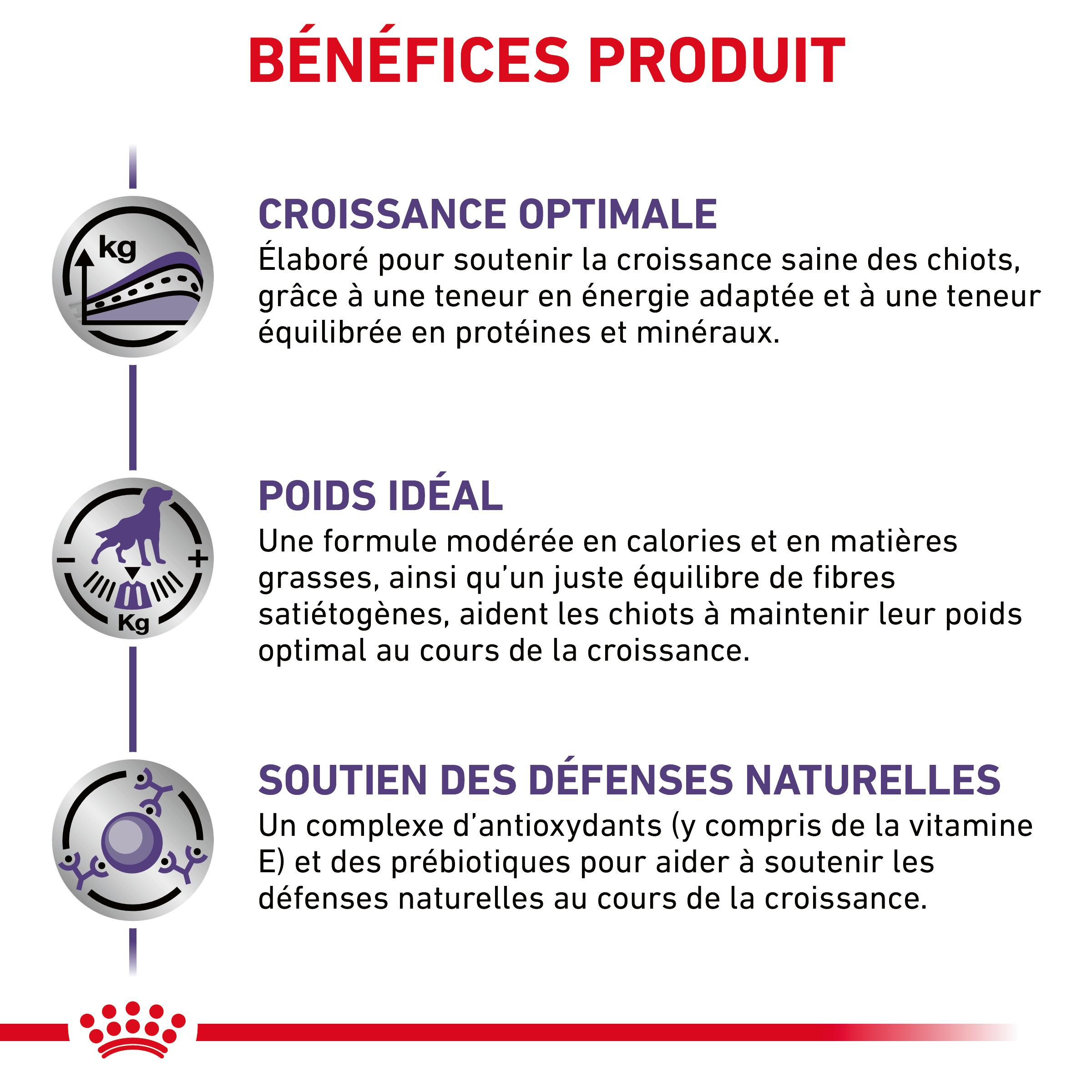 Royal Canin Expert Neutered Junior pour chien