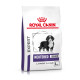 Royal Canin Expert Neutered Junior Large Dogs pour chien