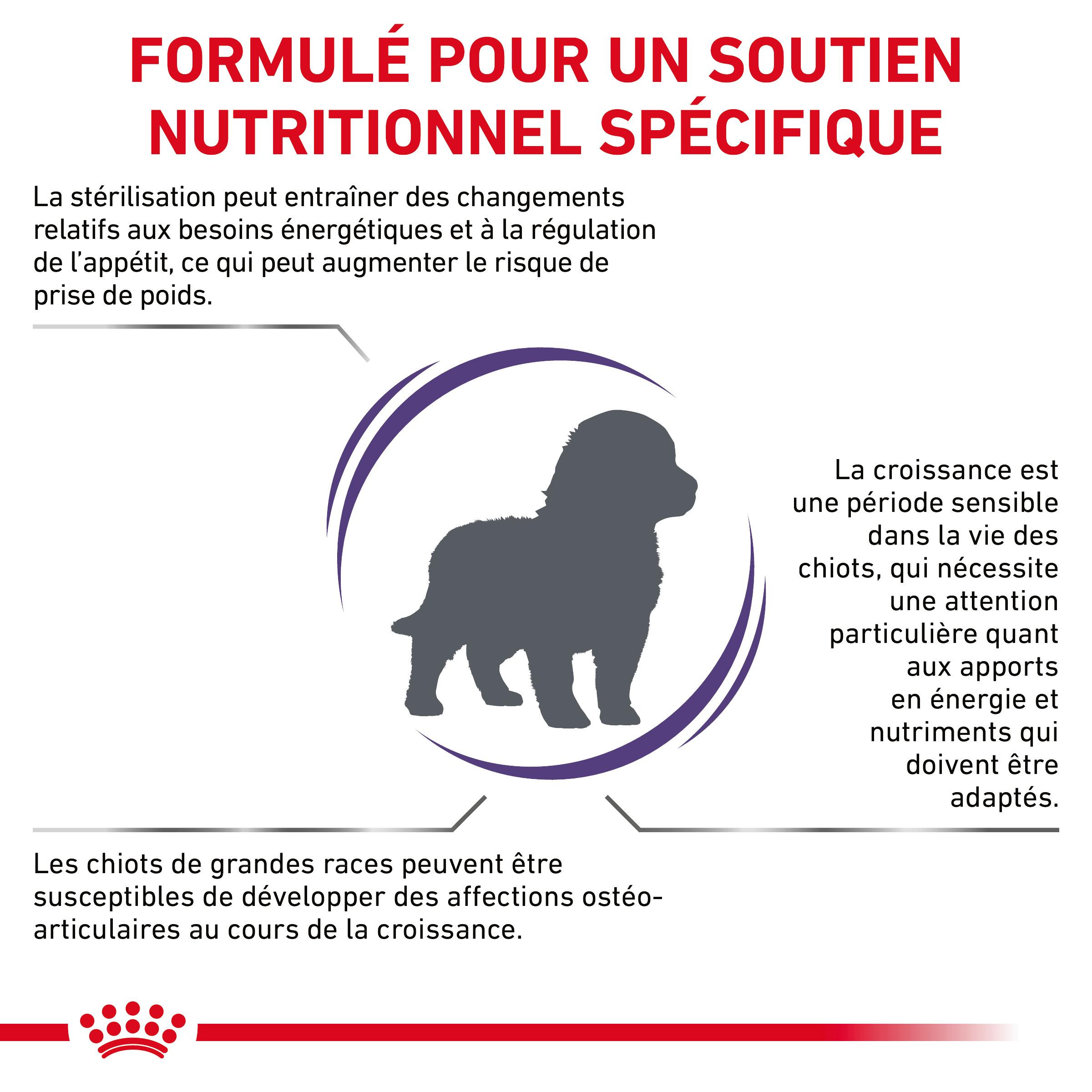 Royal Canin Expert Neutered Junior Large Dogs pour chien