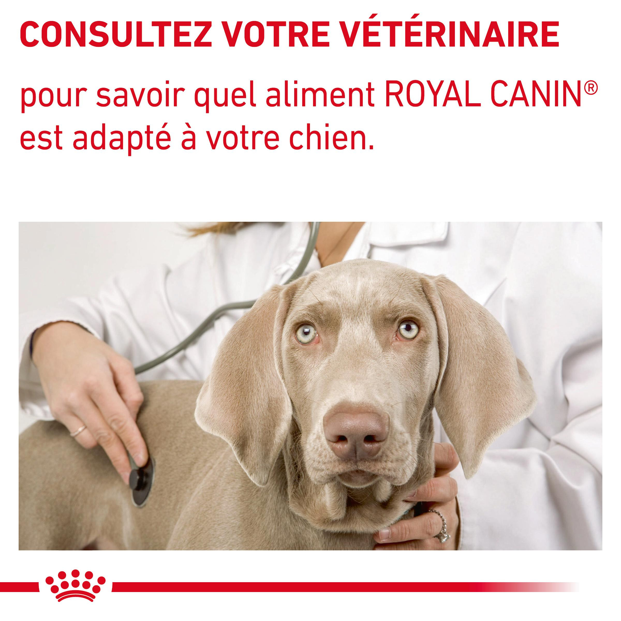 Royal Canin Expert Neutered Junior Large Dogs pour chien