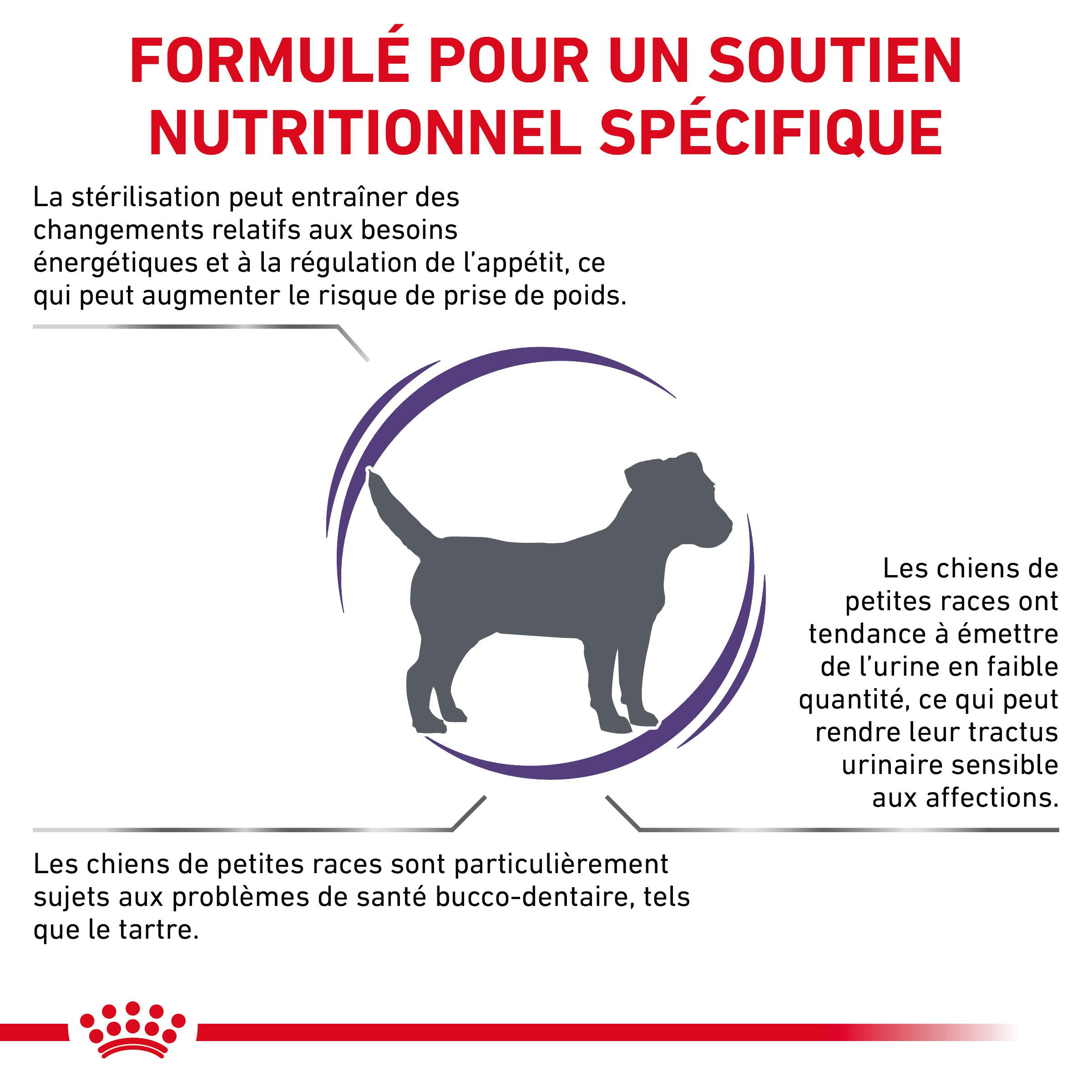 Royal Canin Expert Neutered Adult Small Dogs pour chien