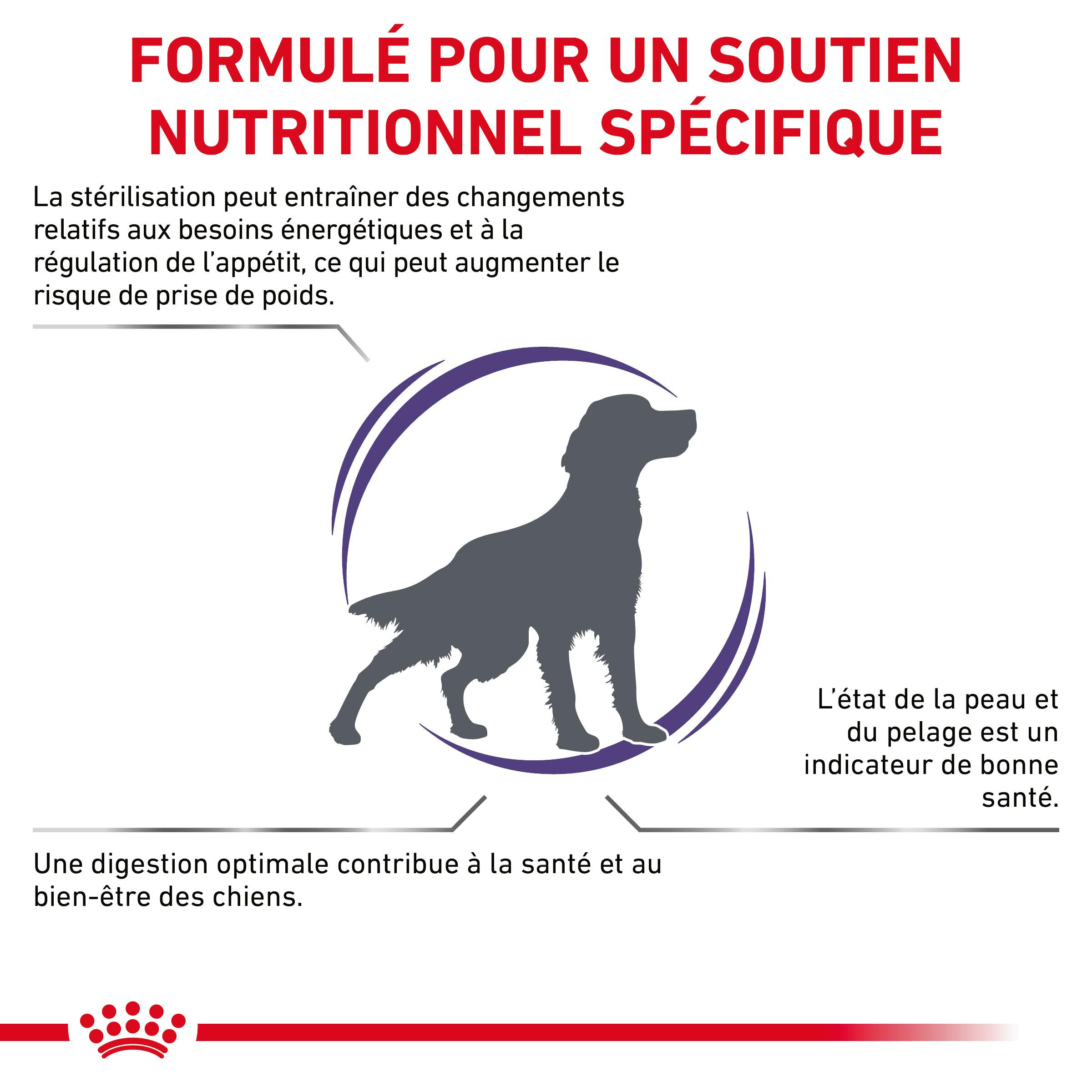 Royal Canin Expert Neutered Adult Medium Dogs pour chien