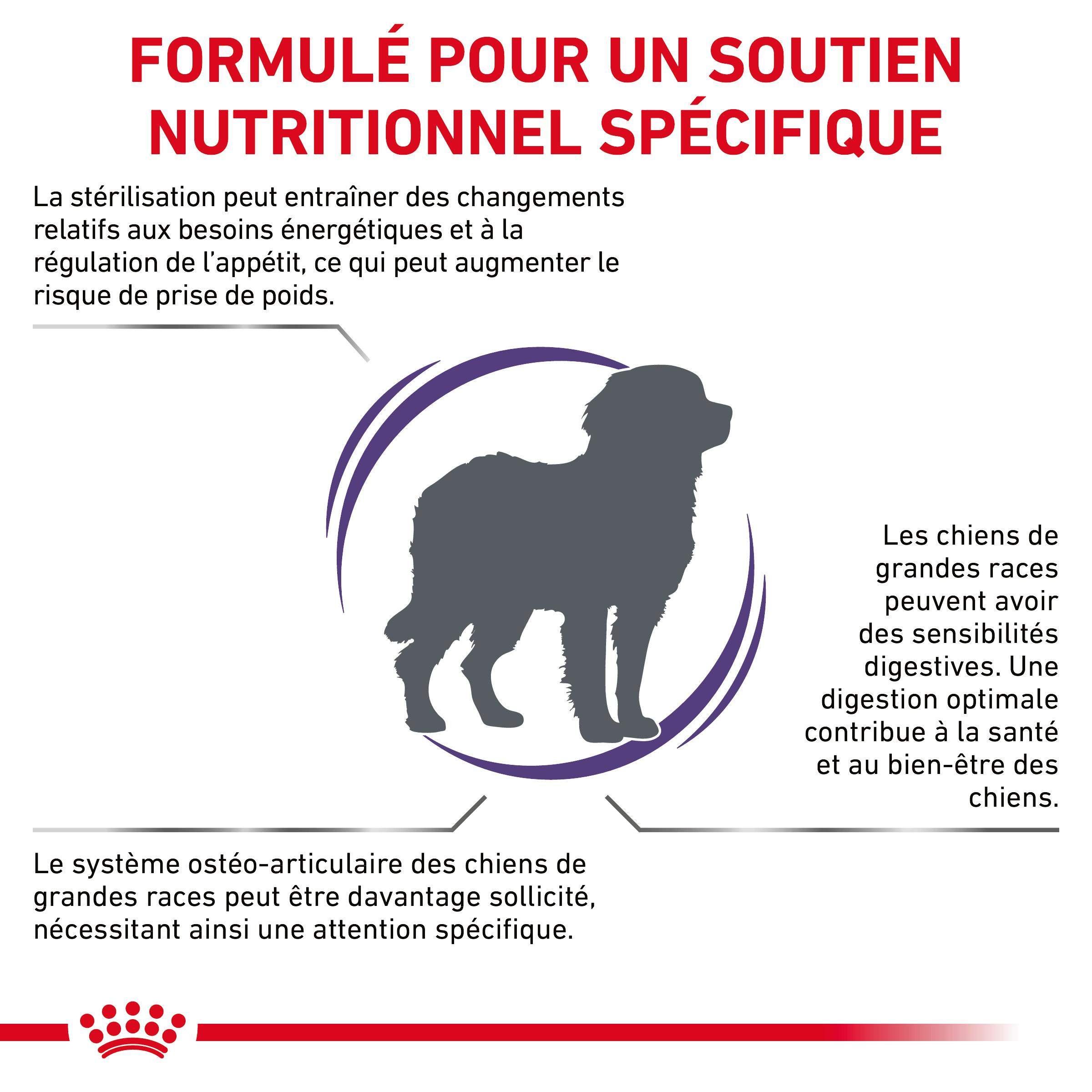 Royal Canin Expert Neutered Adult Large Dogs pour chien