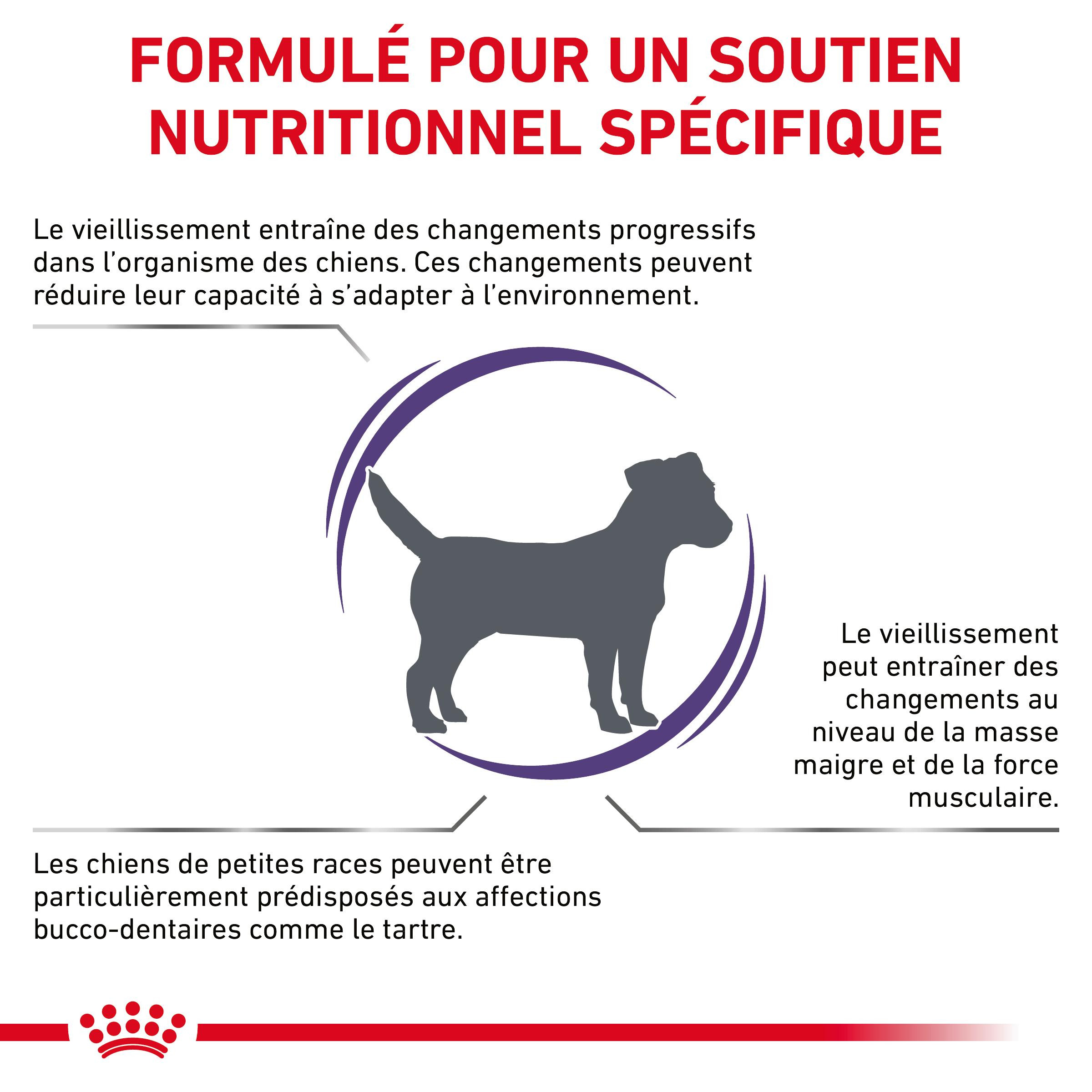 Royal Canin Expert Mature Consult Small Dogs pour chien