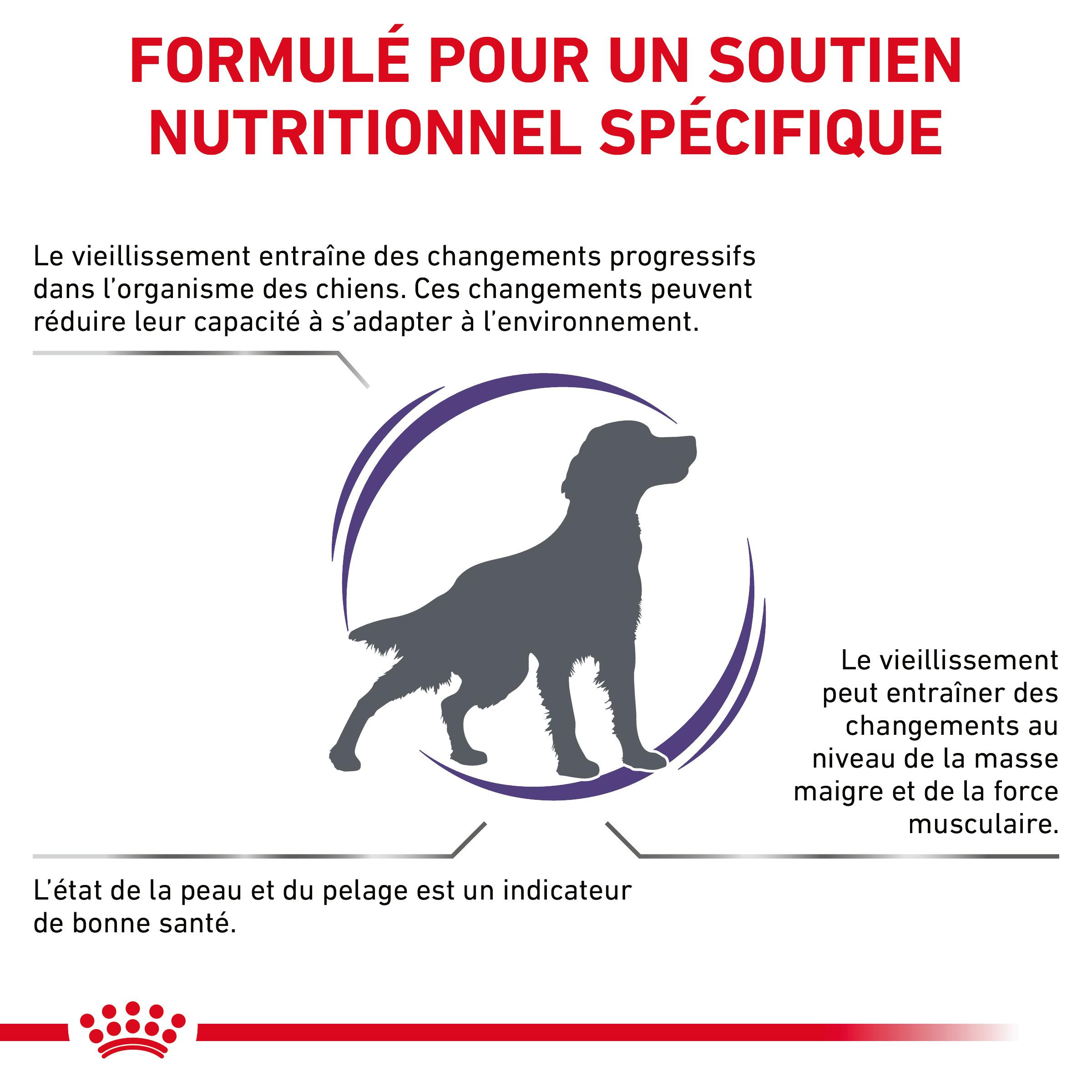 Royal Canin Expert Mature Consult Medium Dogs pour chien