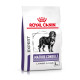 Royal Canin Expert Mature Consult Large Dogs pour chien