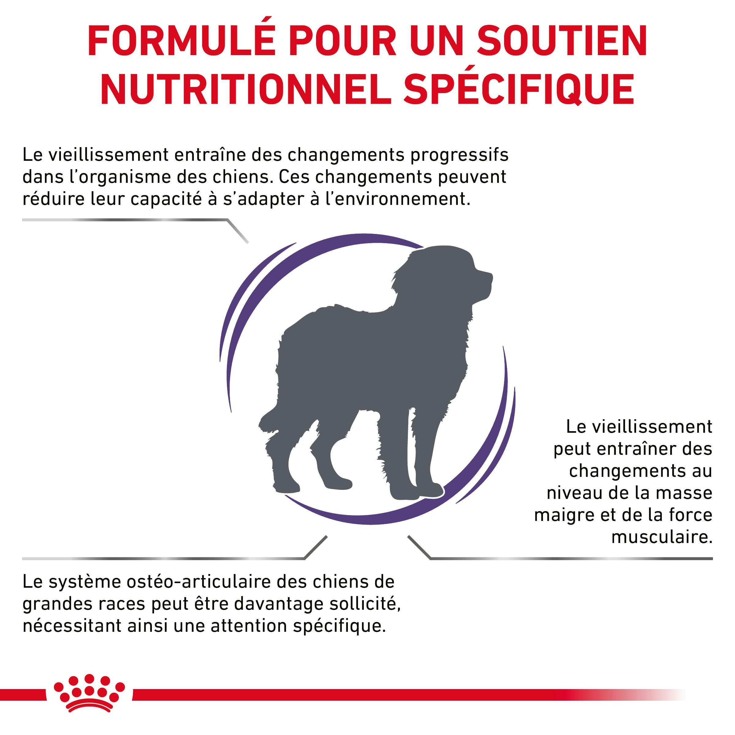 Royal Canin Expert Mature Consult Large Dogs pour chien