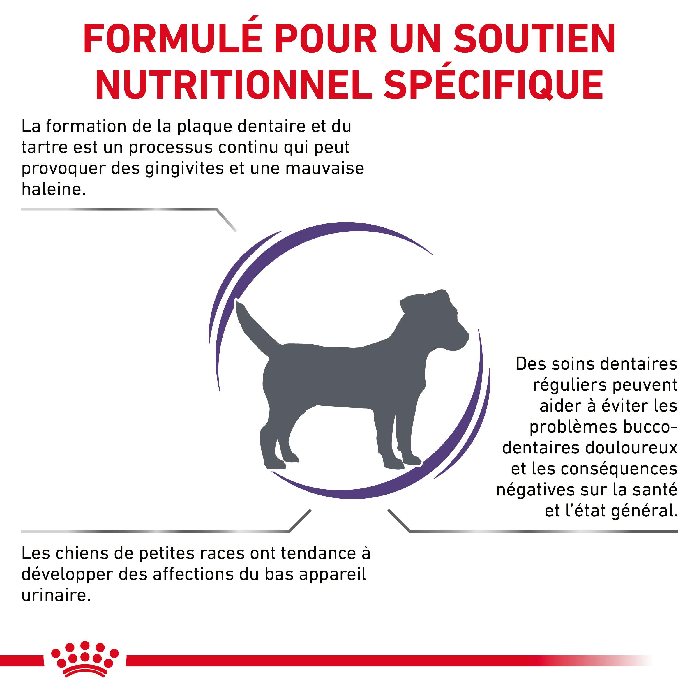 Royal Canin Expert Dental Small Dogs pour chien