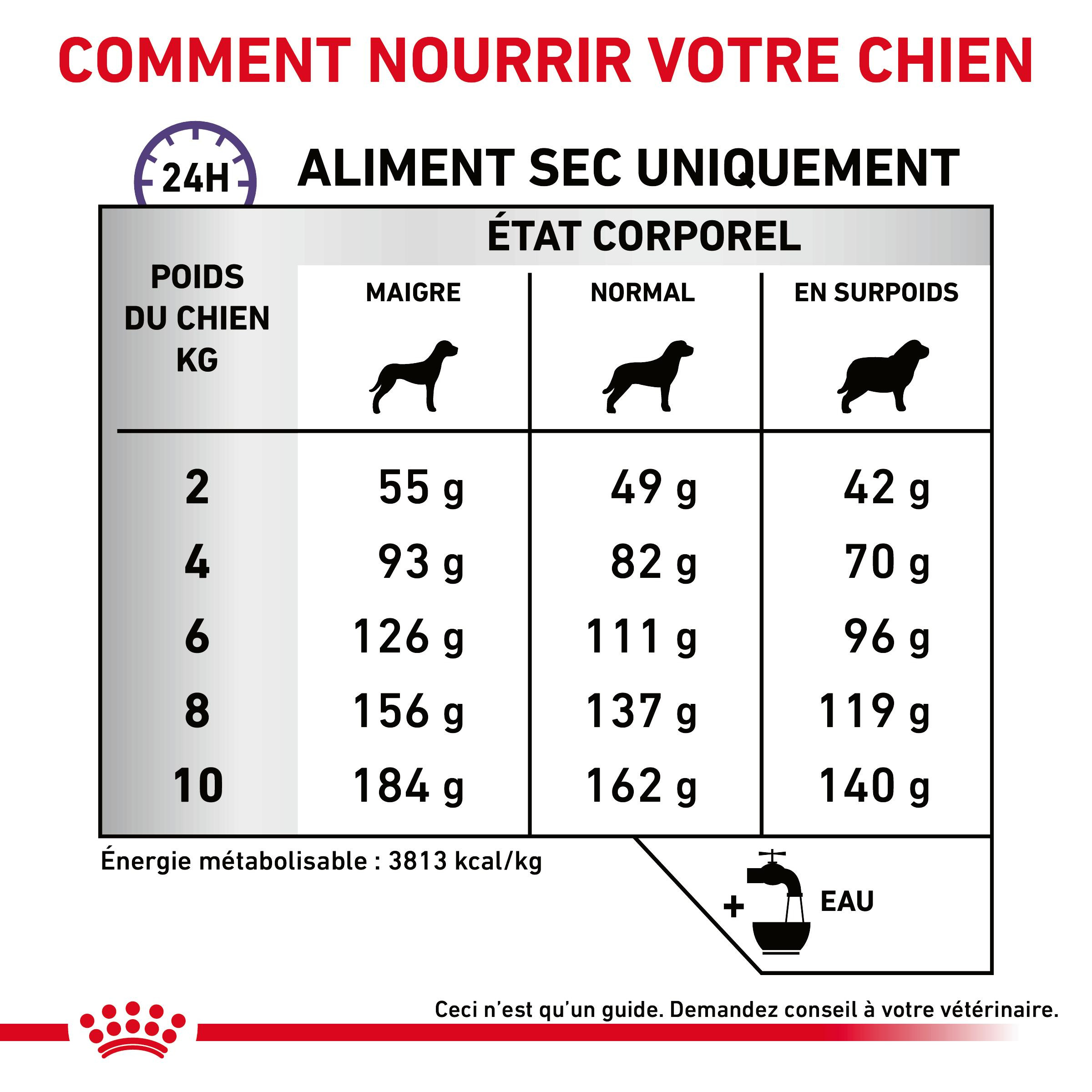 Royal Canin Expert Dental Small Dogs pour chien