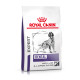 Royal Canin Expert Dental Medium & Large Dogs pour chien