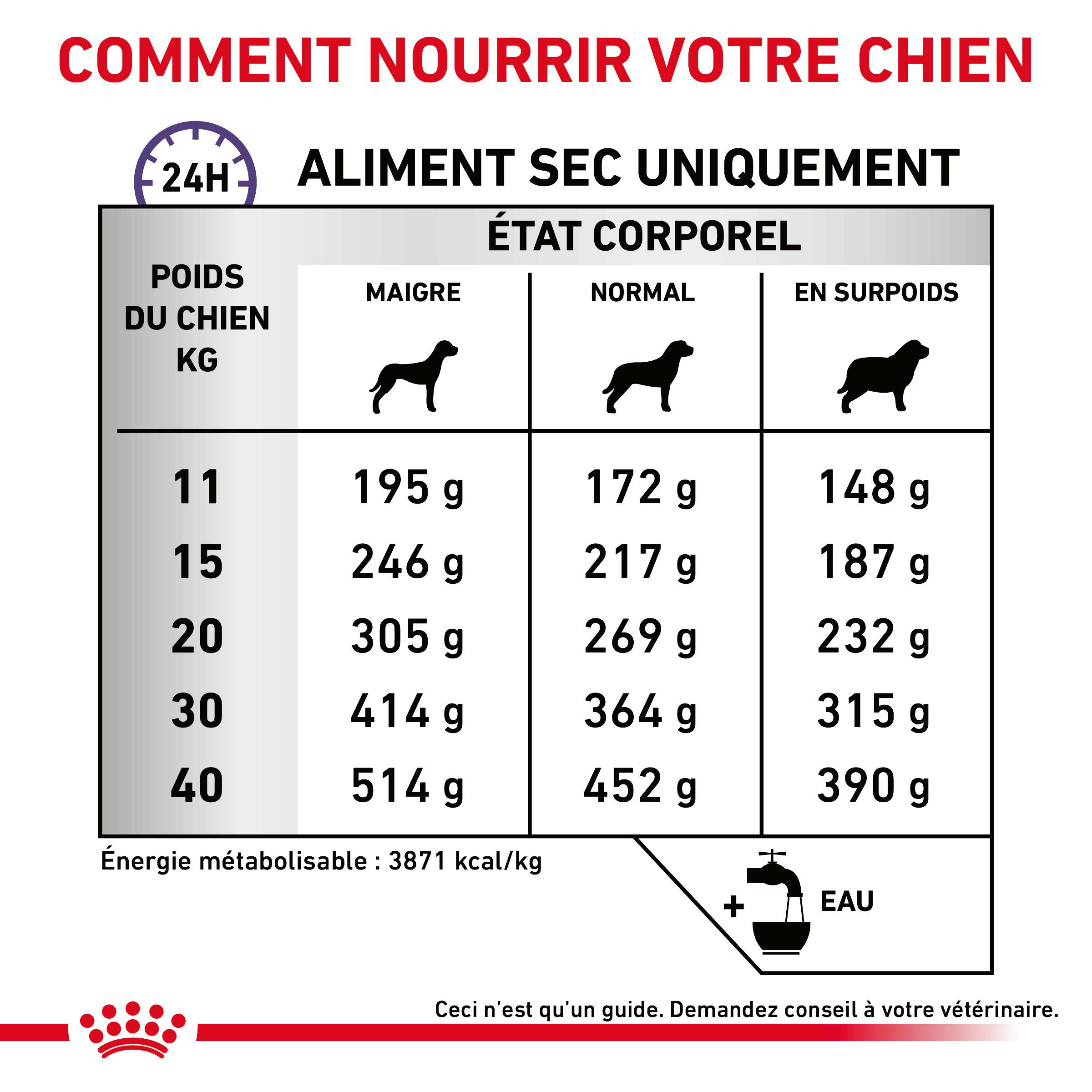 Royal Canin Expert Dental Medium & Large Dogs pour chien