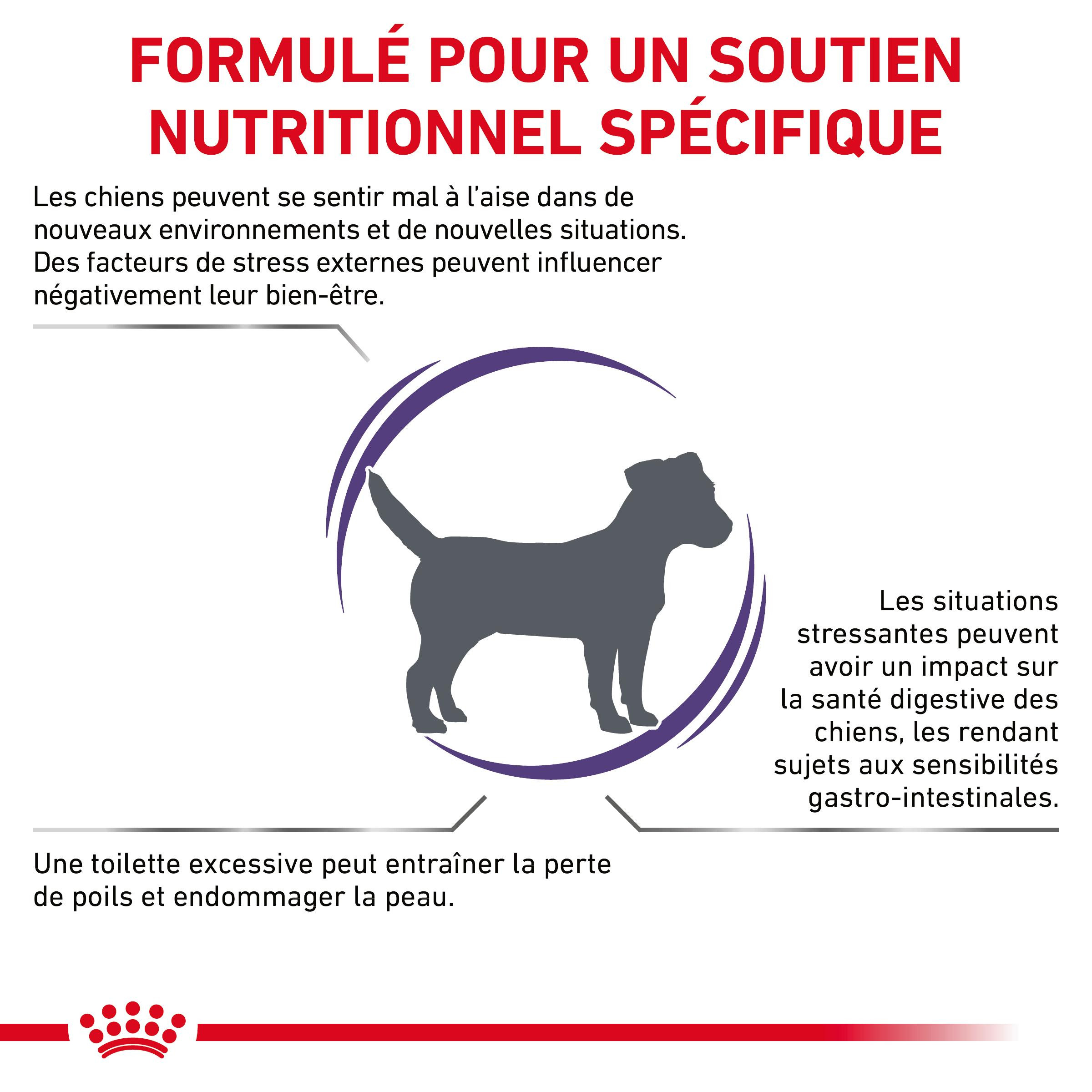 Royal Canin Expert Calm Small Dogs pour chien