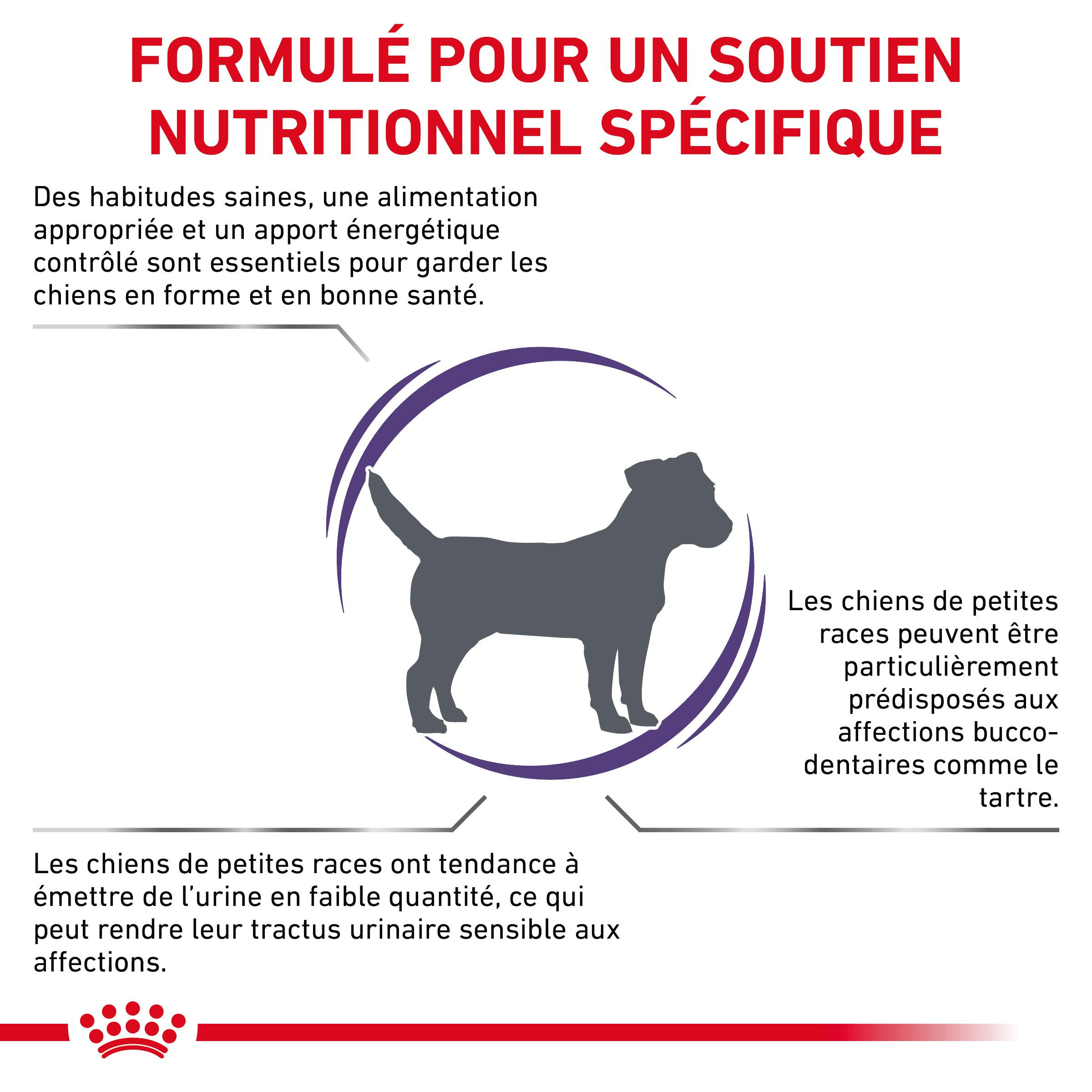 Royal Canin Expert Adult Small Dogs pour chien