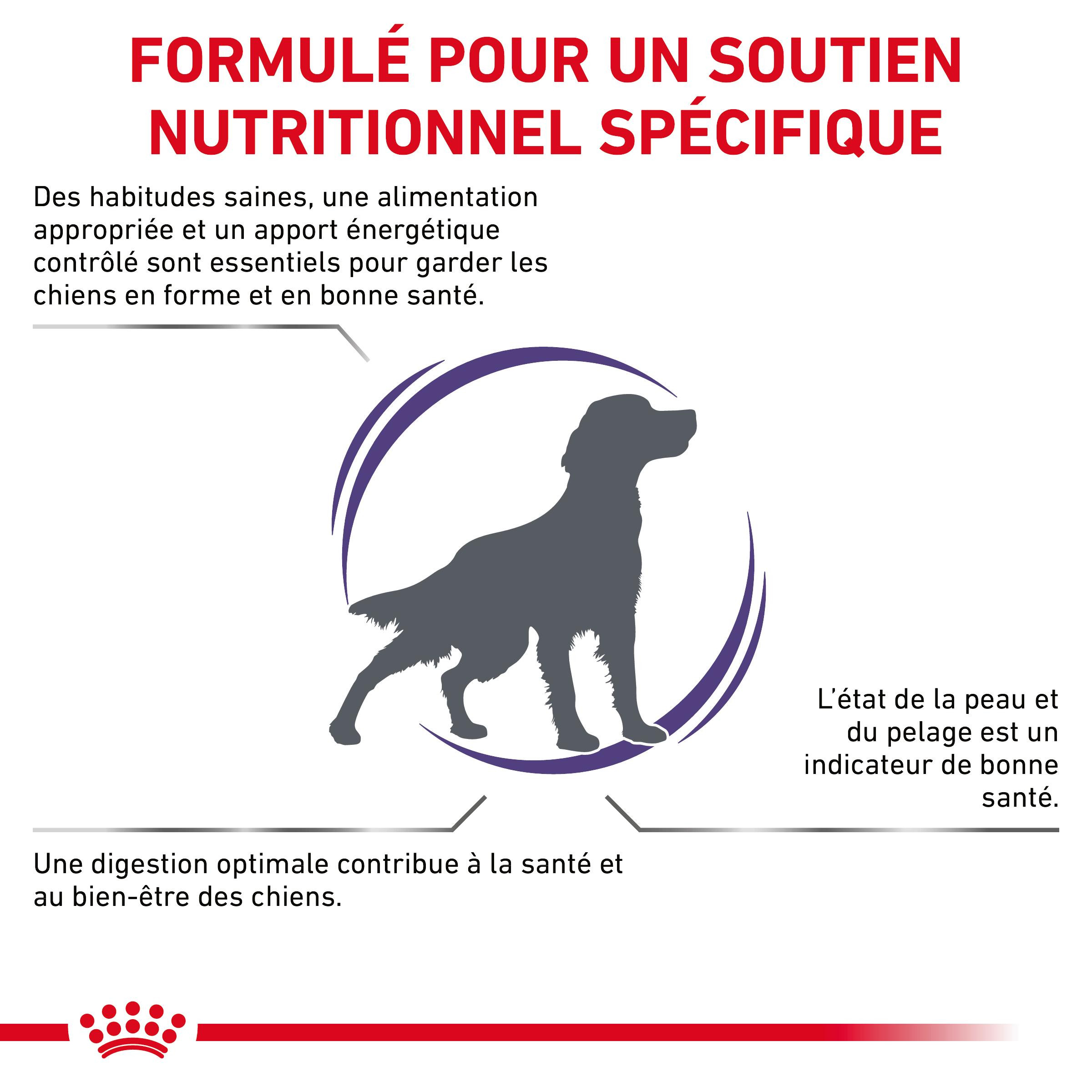 Royal Canin Expert Adult Medium Dogs pour chien