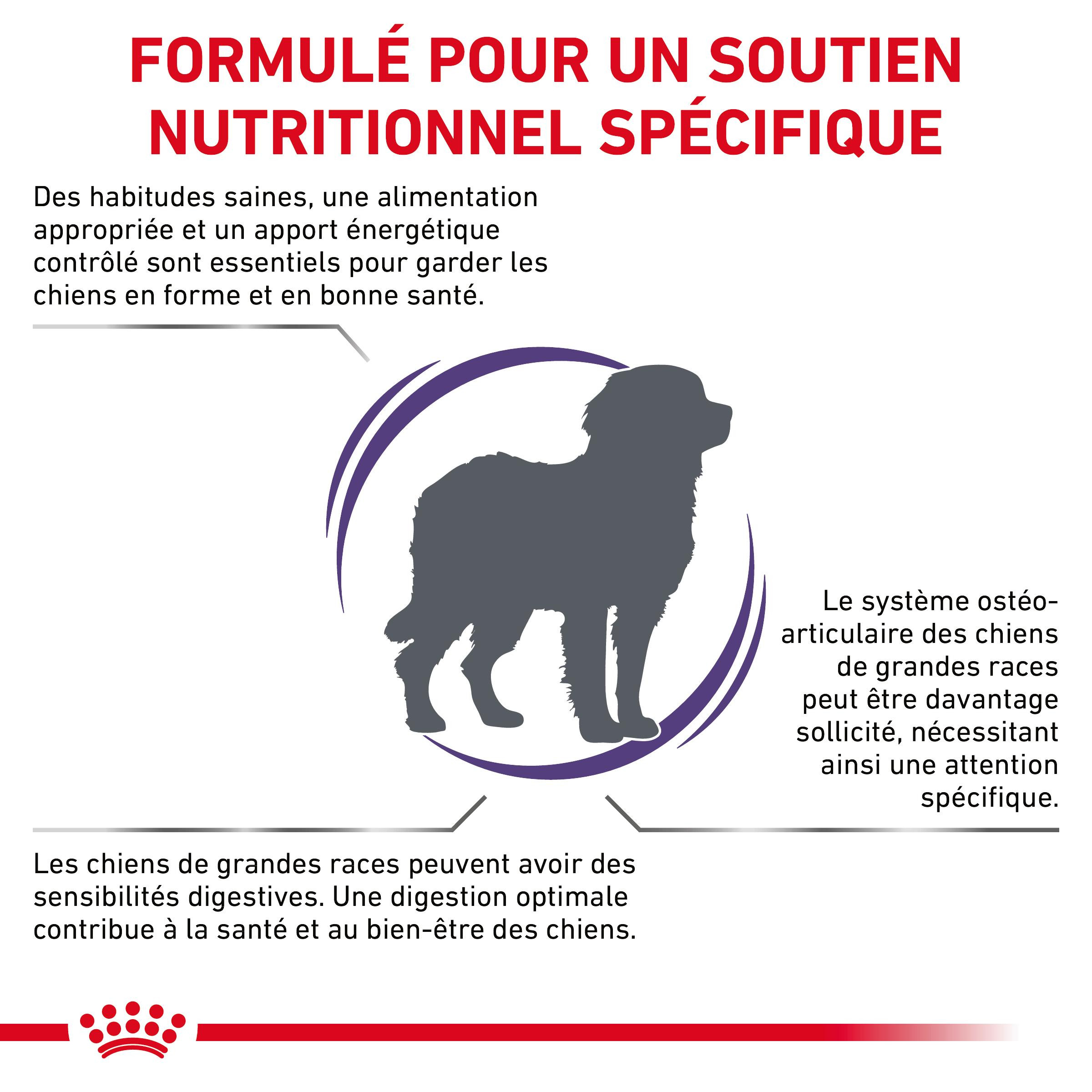 Royal Canin Expert Adult Large Dogs pour chien