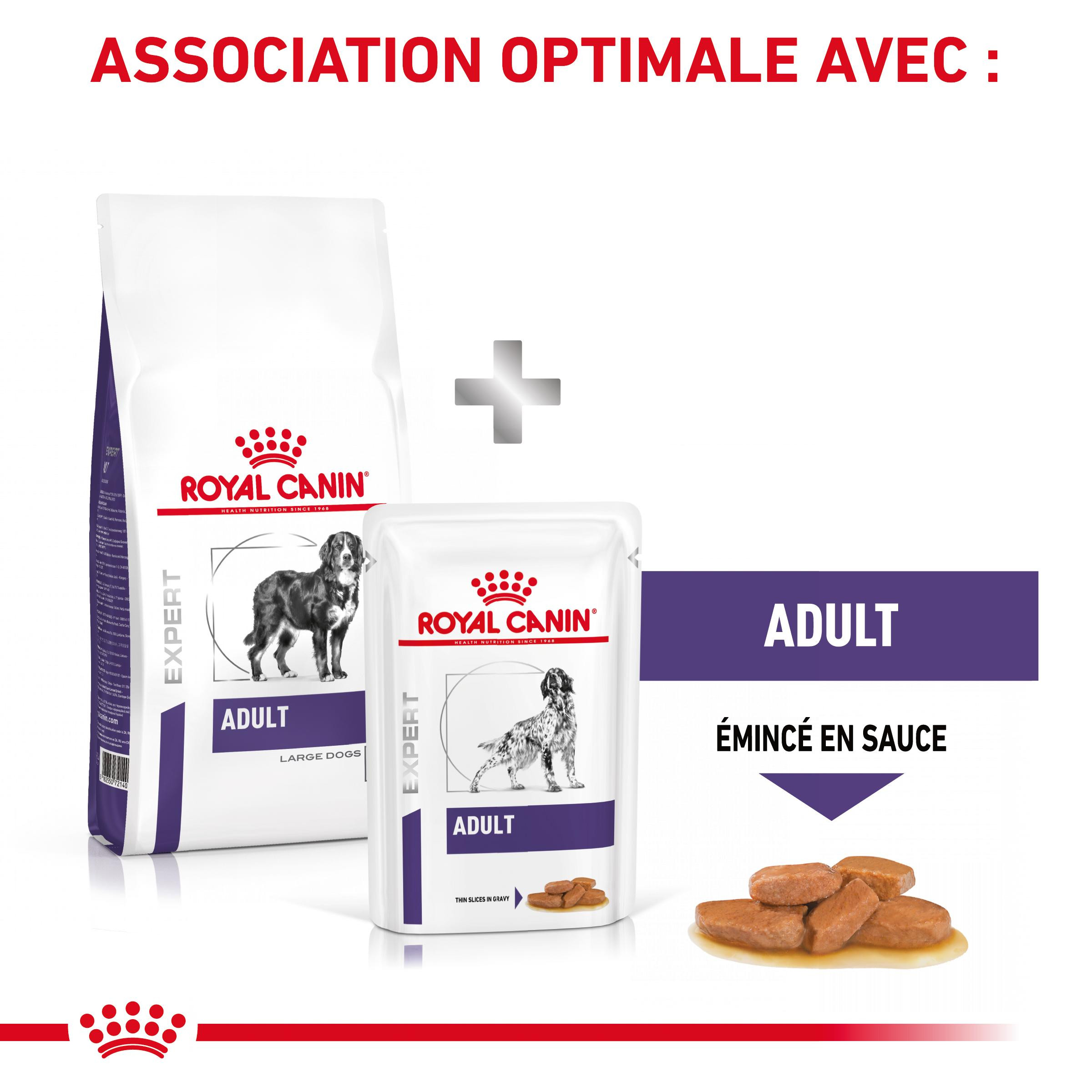 Royal Canin Expert Adult Large Dogs pour chien