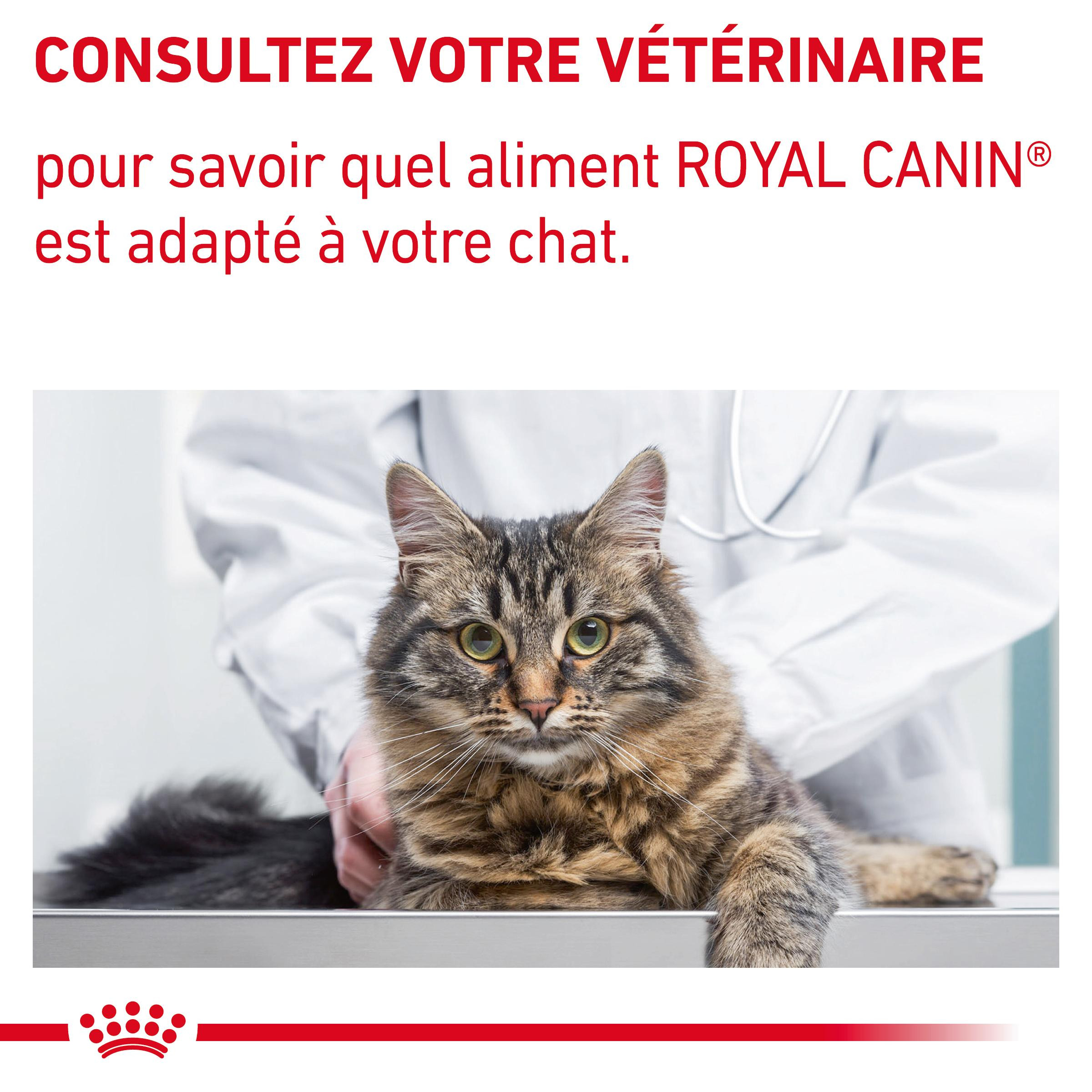 Royal Canin Expert Neutered Satiety Balance pour chat