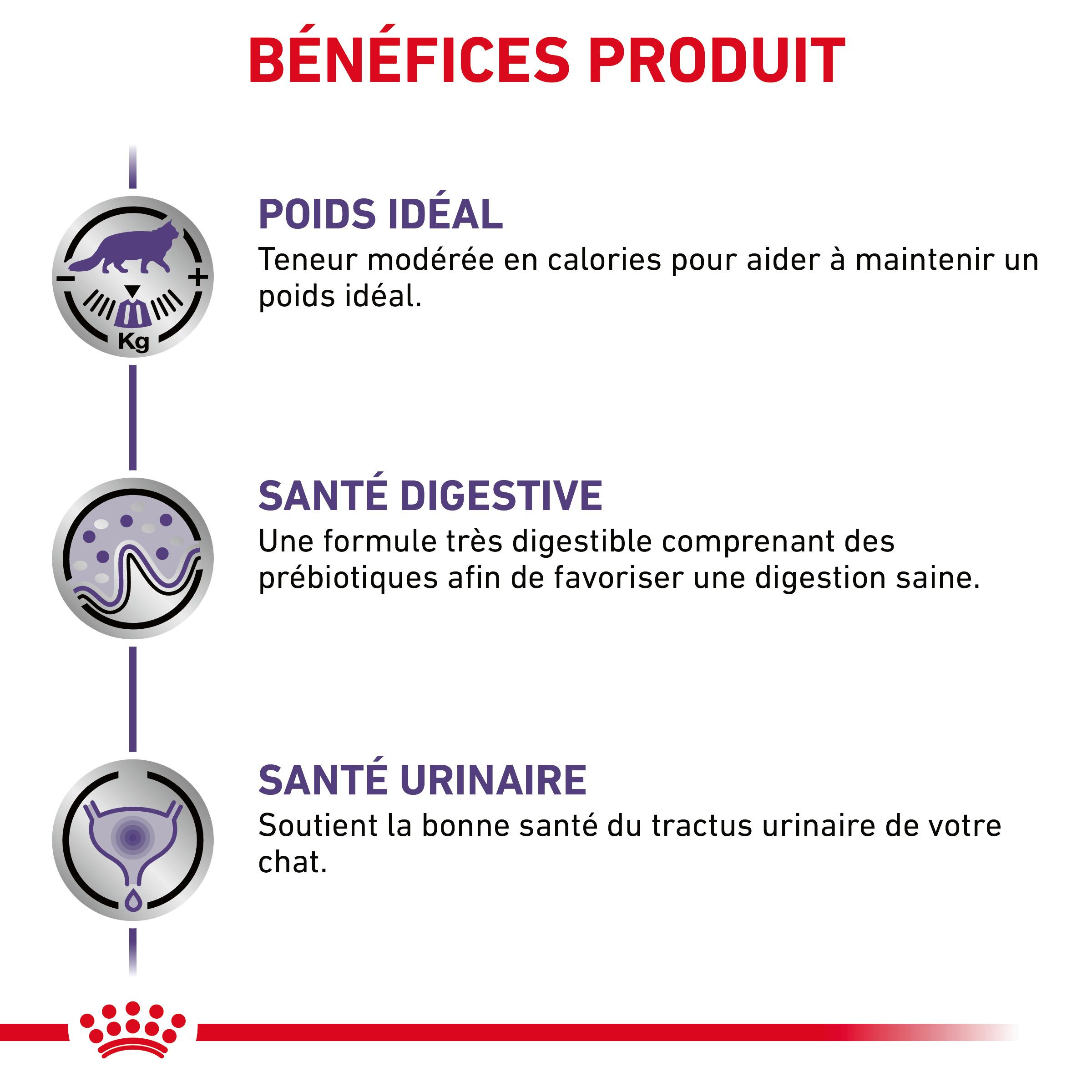 Royal Canin Expert Neutered Balance pâtée pour chat