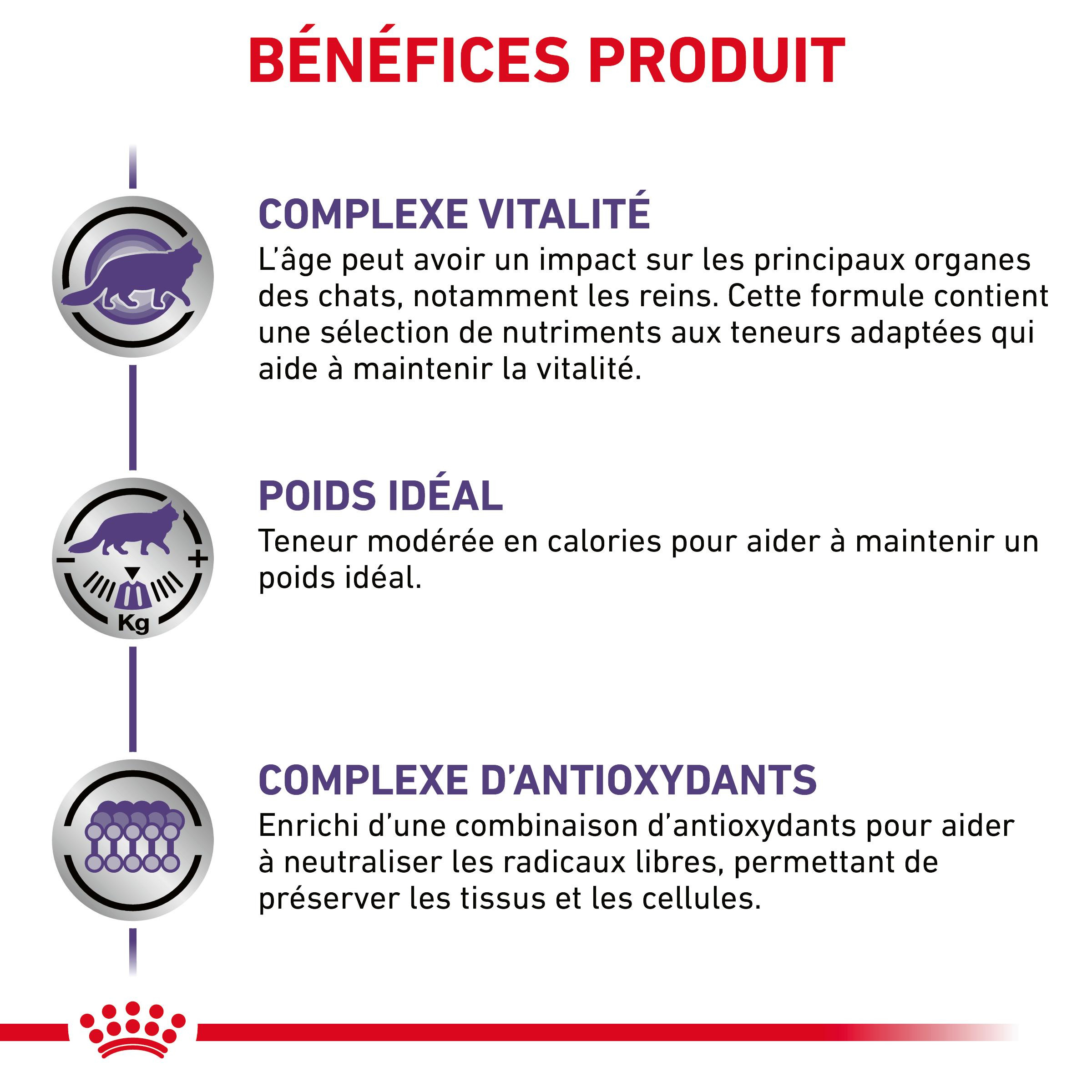 Royal Canin Expert Mature Consult Balance pâtée pour chat