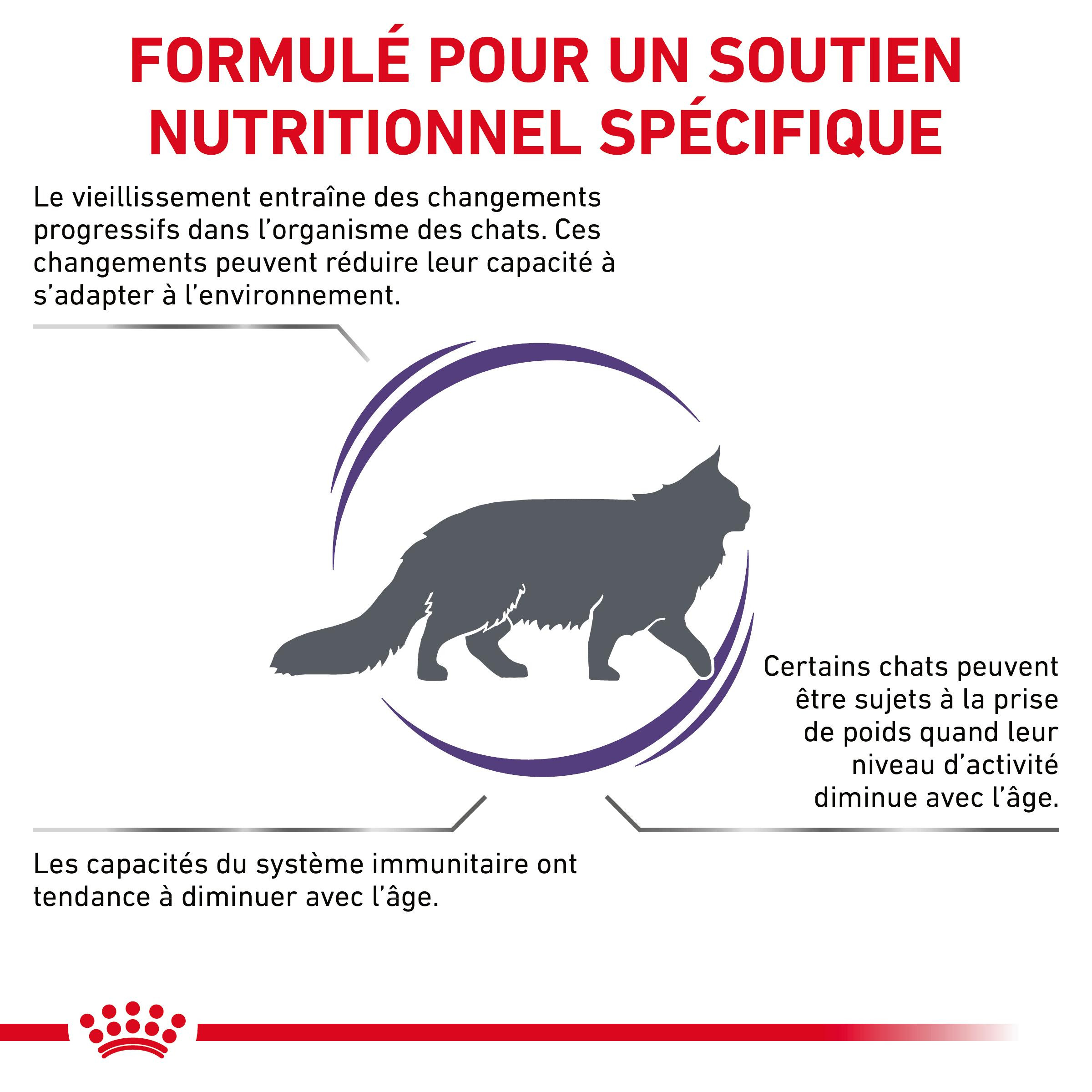 Royal Canin Expert Mature Consult Balance pour chat