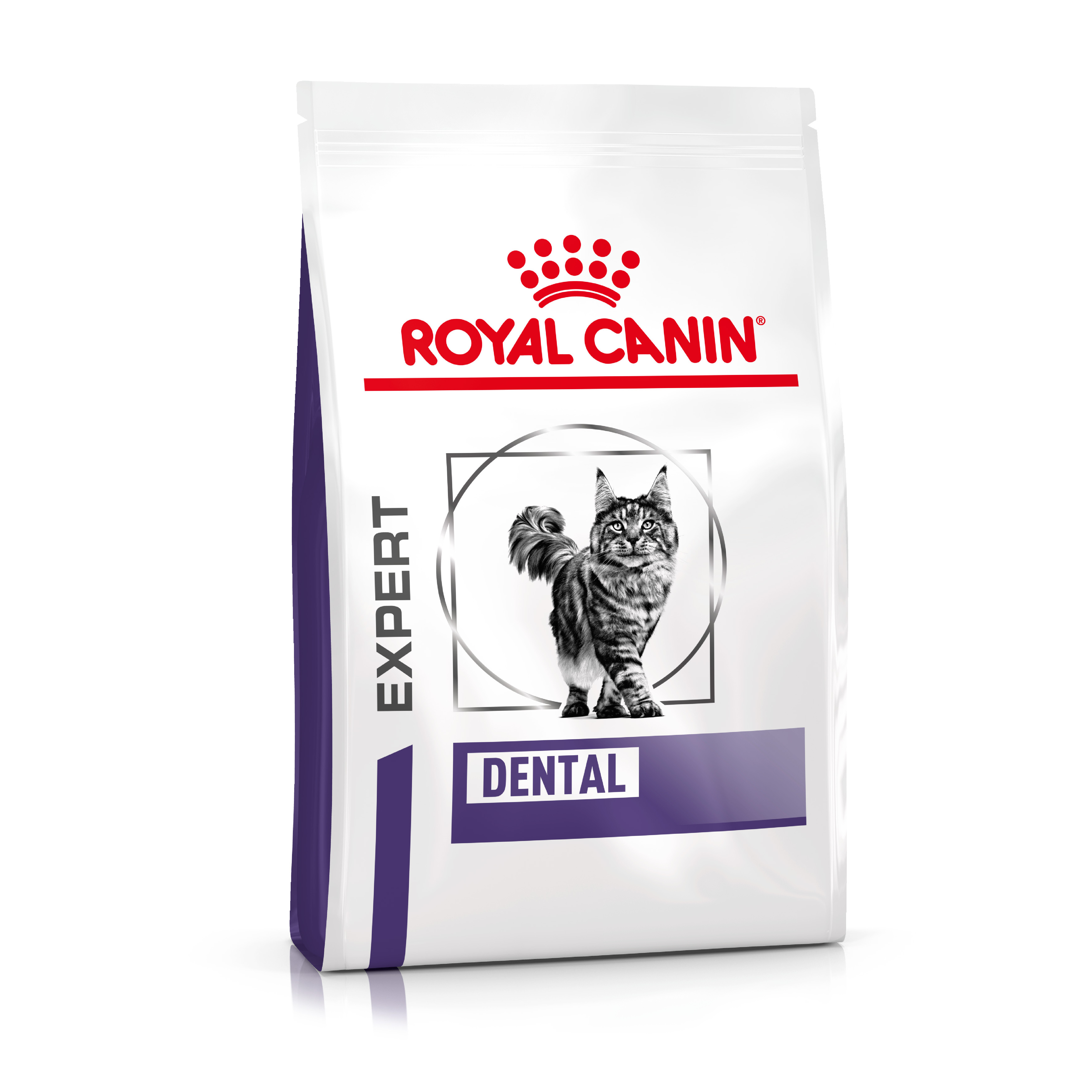 Royal Canin Expert Dental pour chat