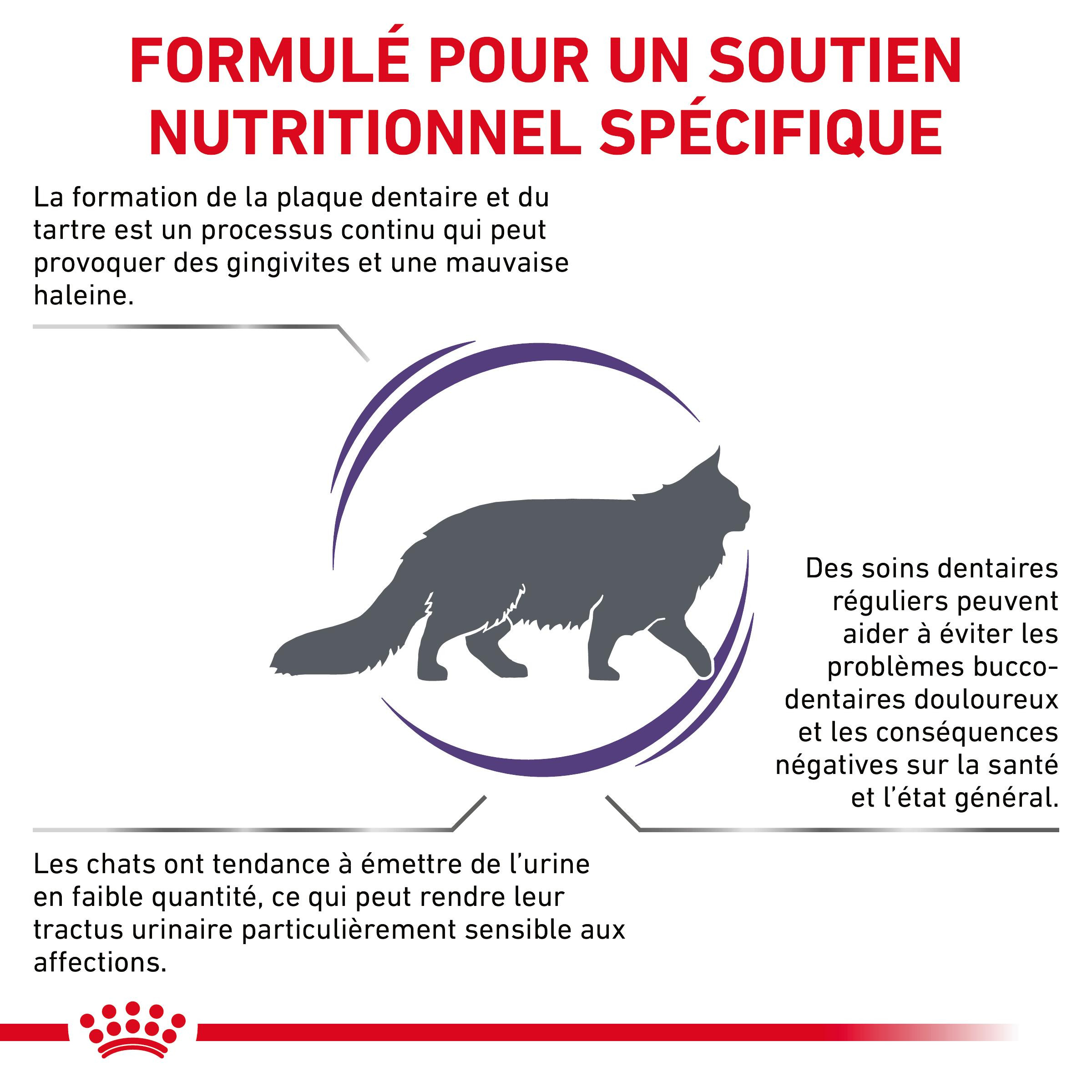 Royal Canin Expert Dental pour chat