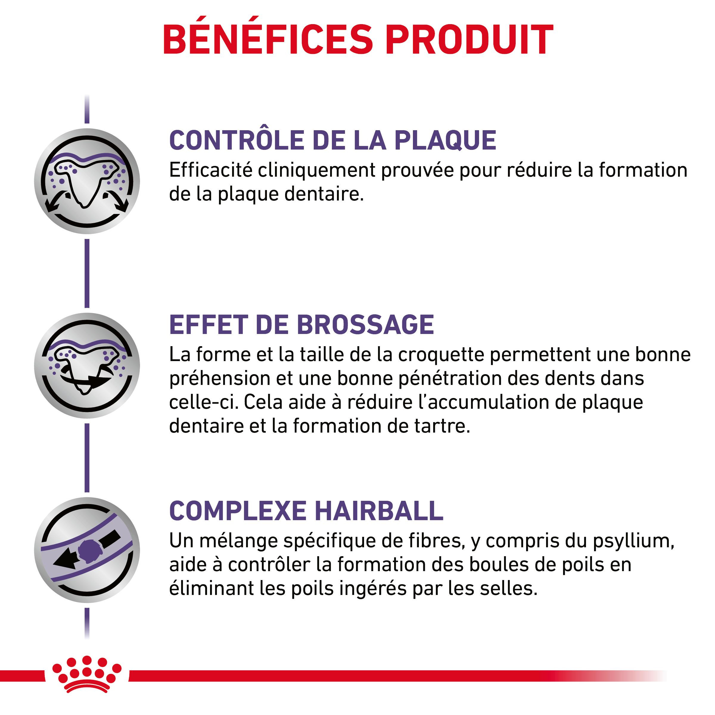 Royal Canin Expert Dental pour chat