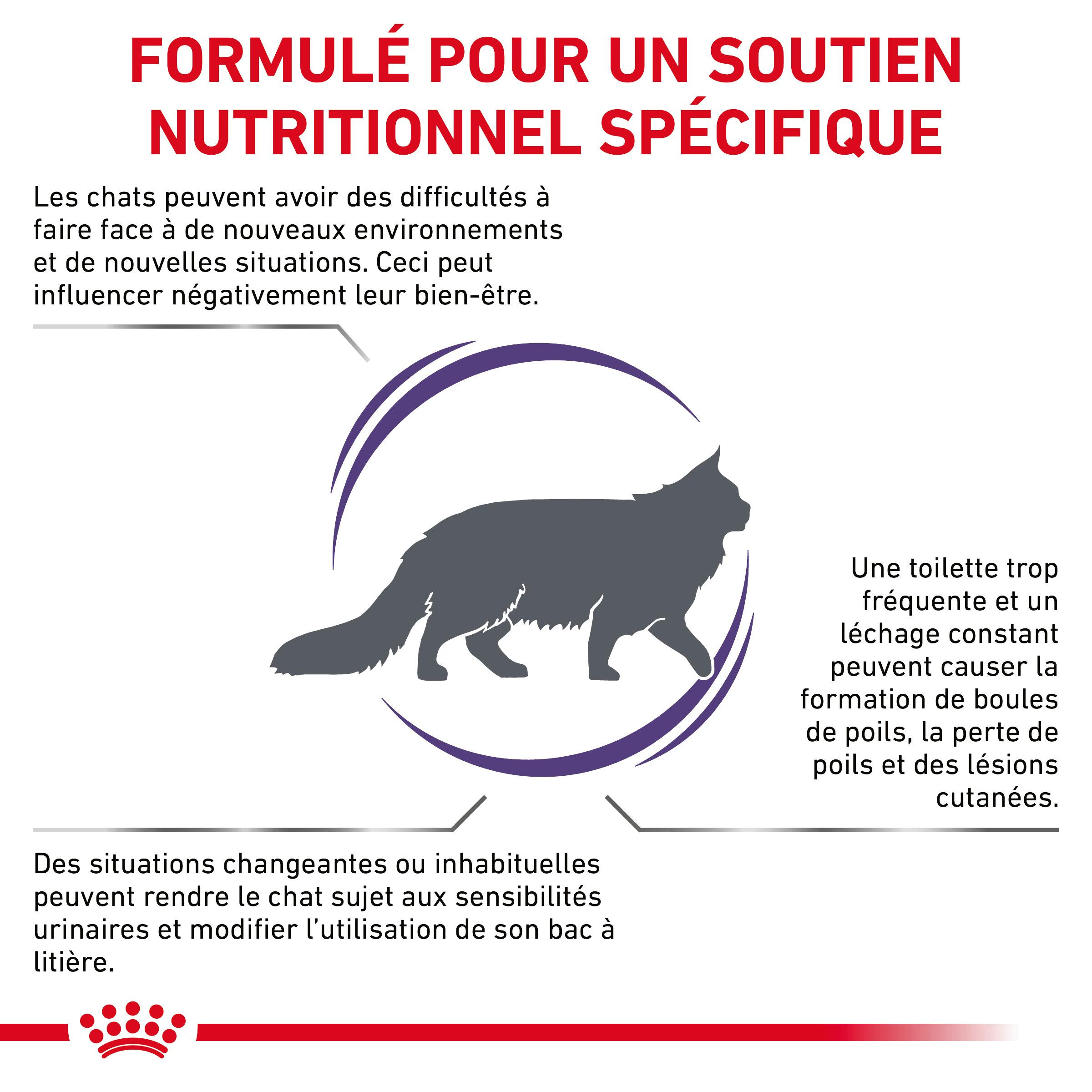 Royal Canin Expert Calm pour chat