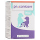 Procanicare pour chien