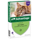 Advantage Nr. 80 pour chat