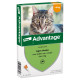 Advantage Nr. 40 pour chat