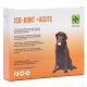 Iso-Joint +Acute comprimés pour le chien