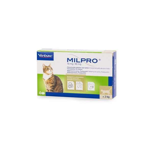 Milpro Grote Kat